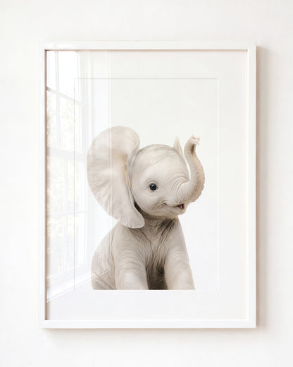 Baby Elephant - Framed Art