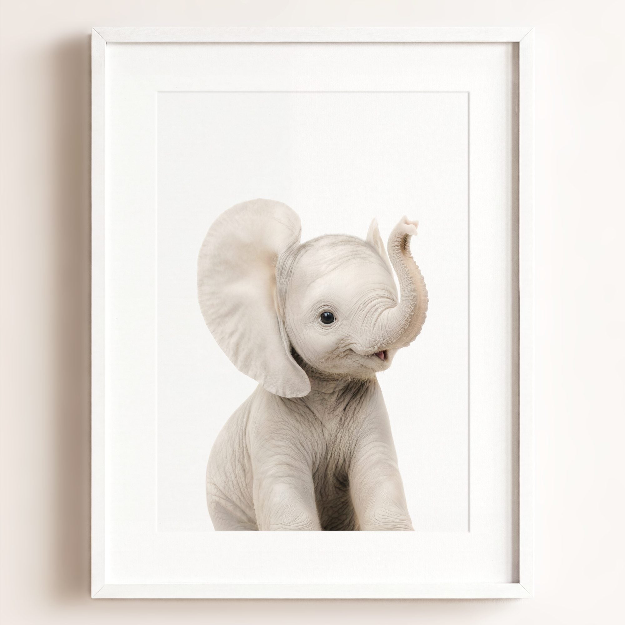 Baby Elephant