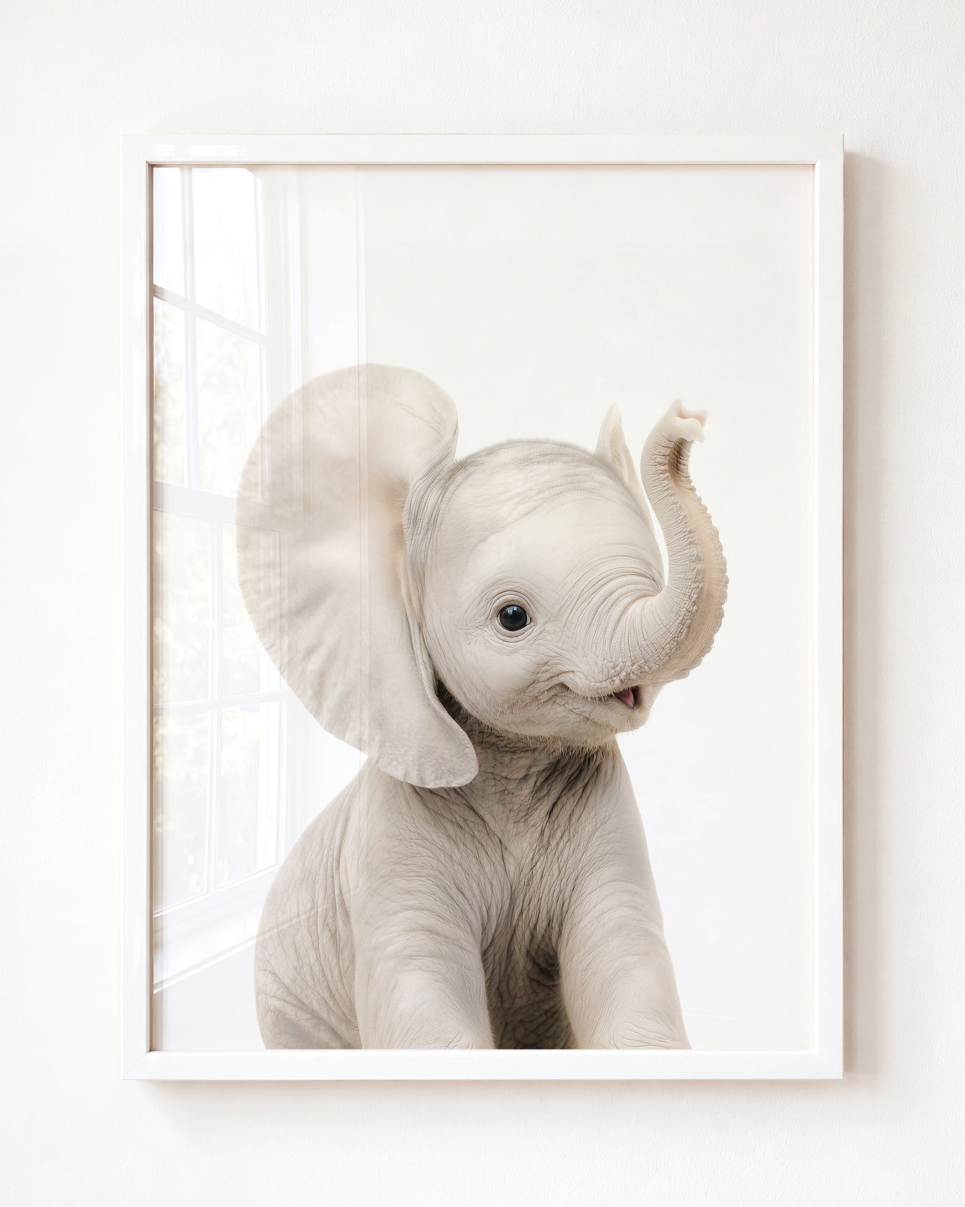 Baby Elephant
