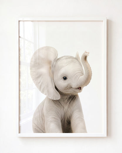 Baby Elephant - Framed Art