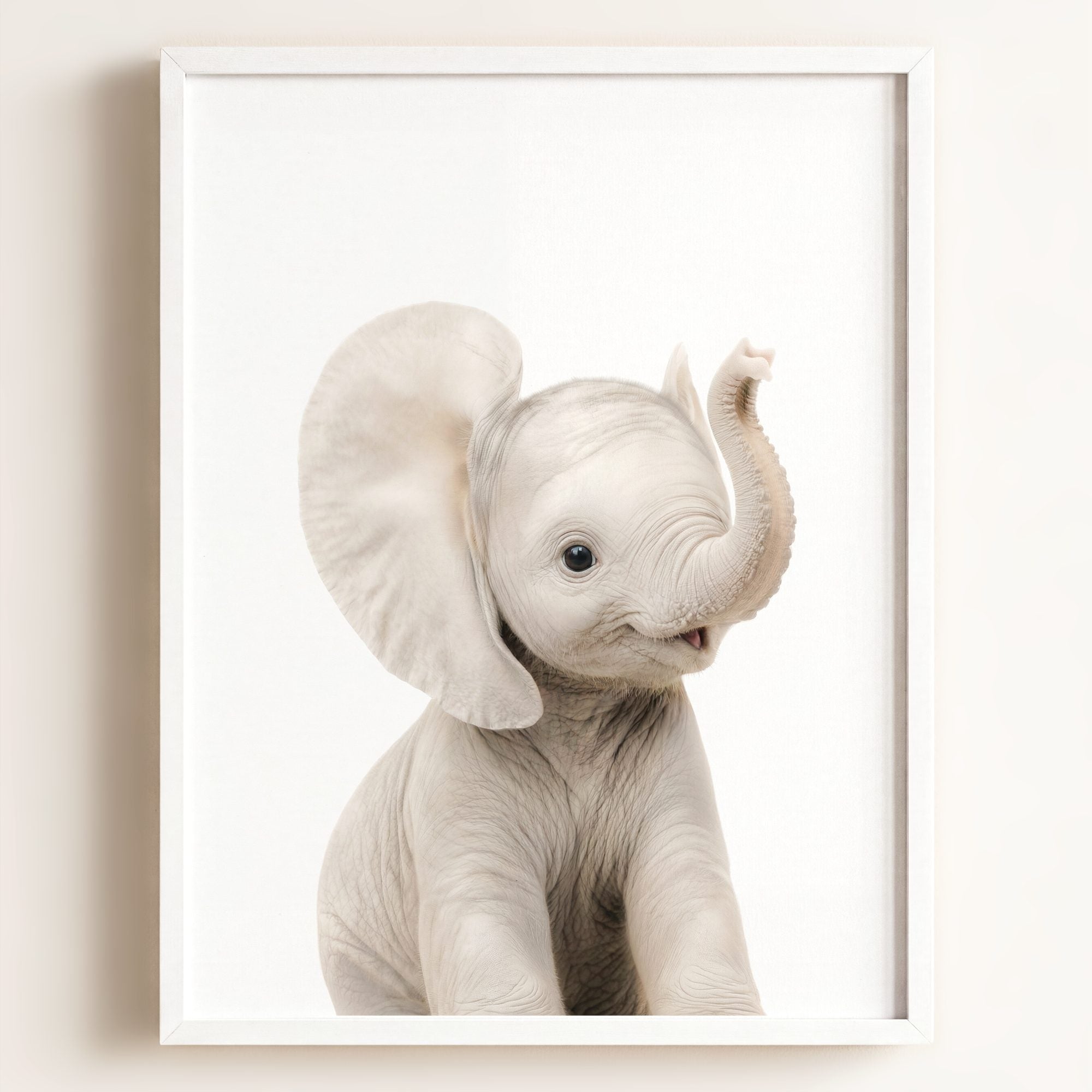 Baby Elephant