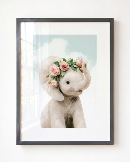 Baby Elephant