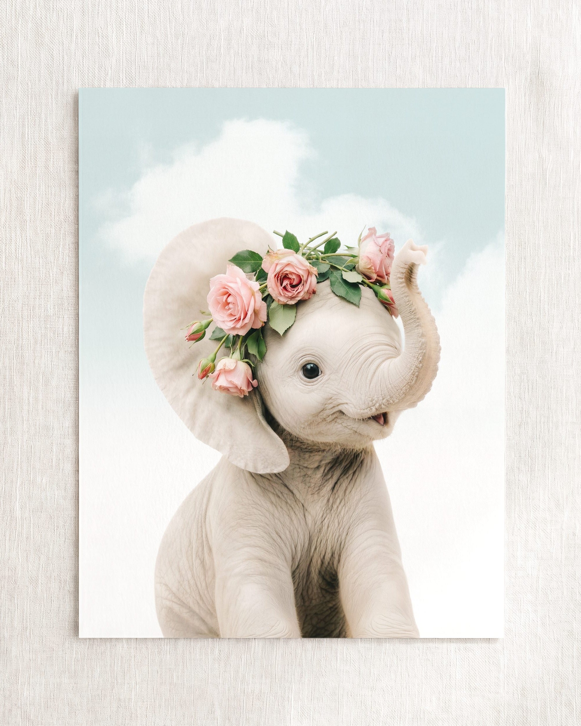 Baby Elephant