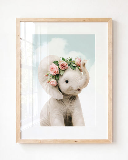 Baby Elephant
