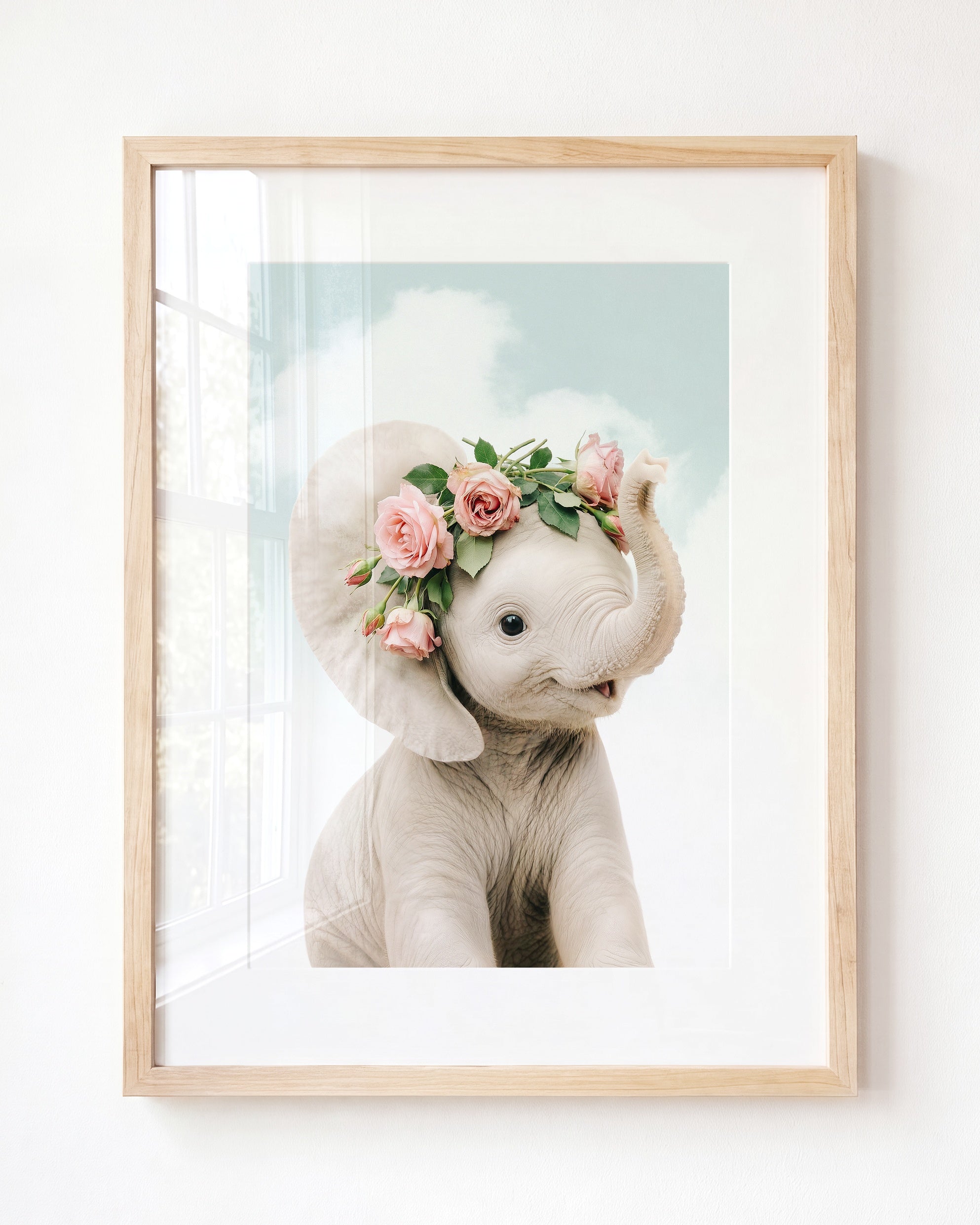 Baby Elephant