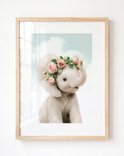 Baby Elephant