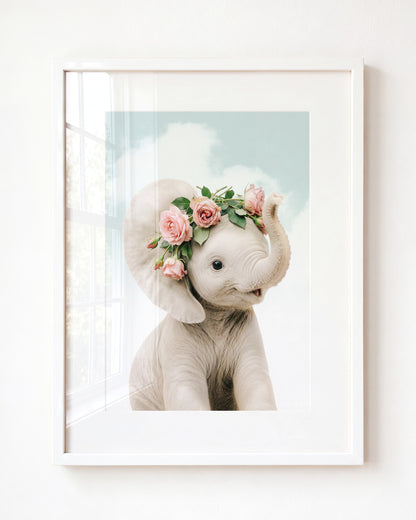 Baby Elephant