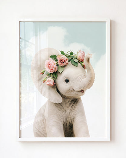 Baby Elephant