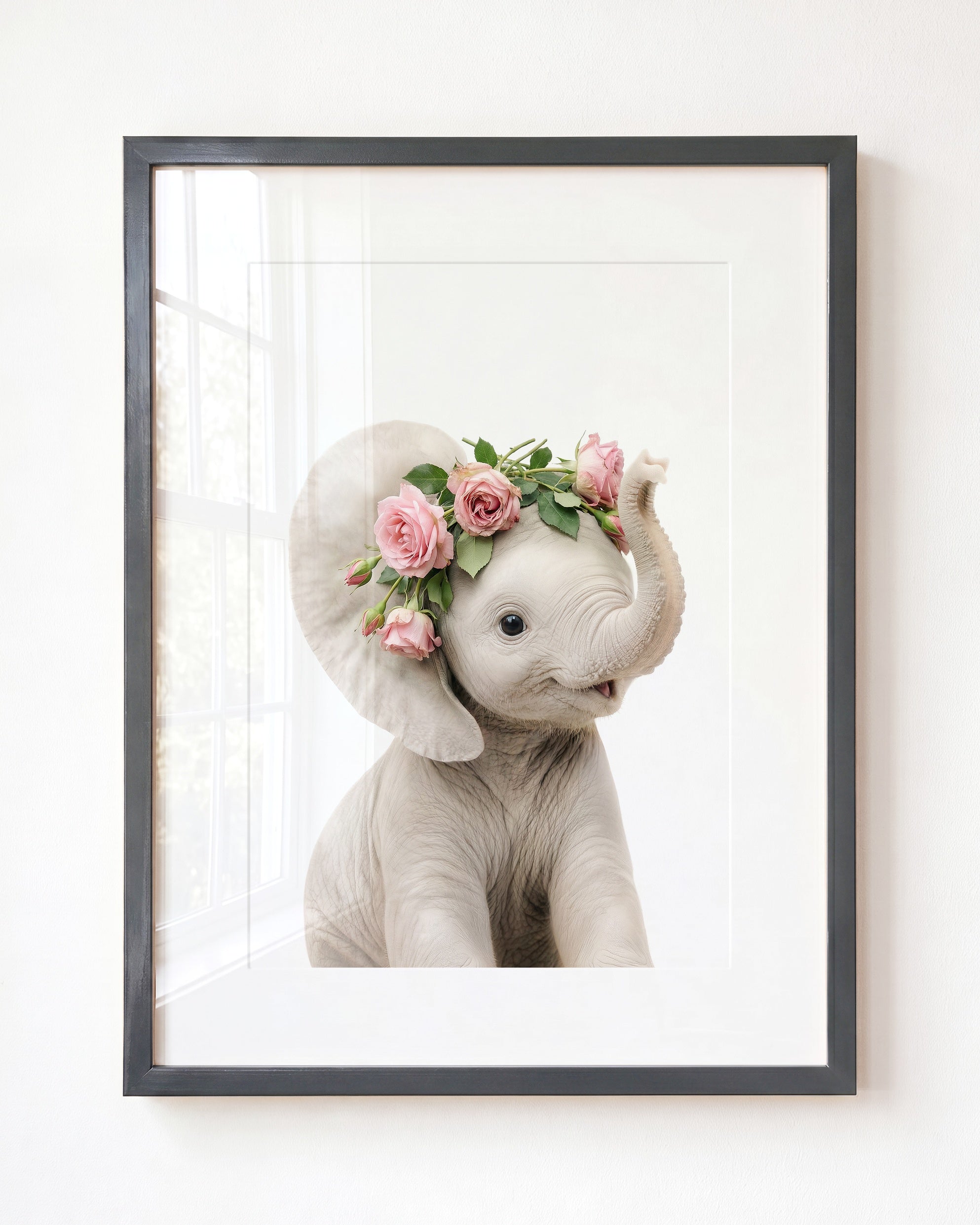 Baby Elephant