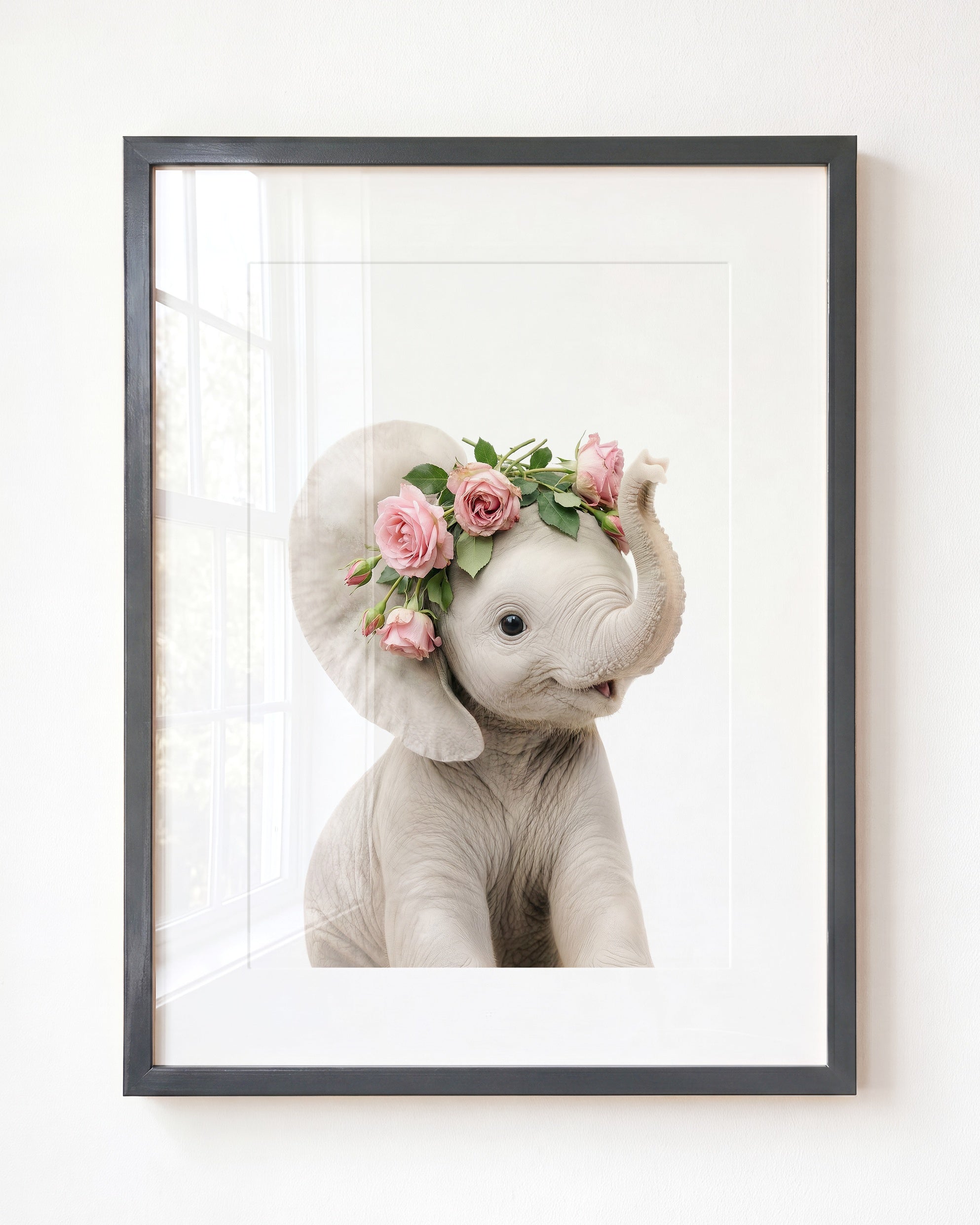 Baby Elephant