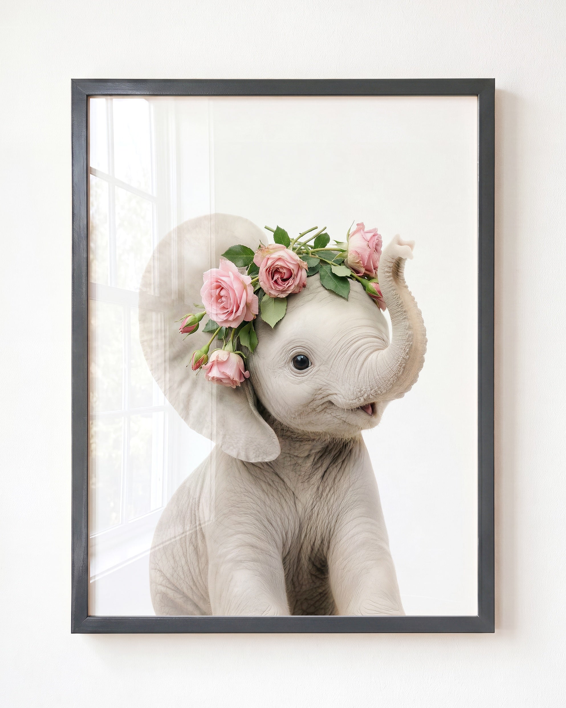 Baby Elephant