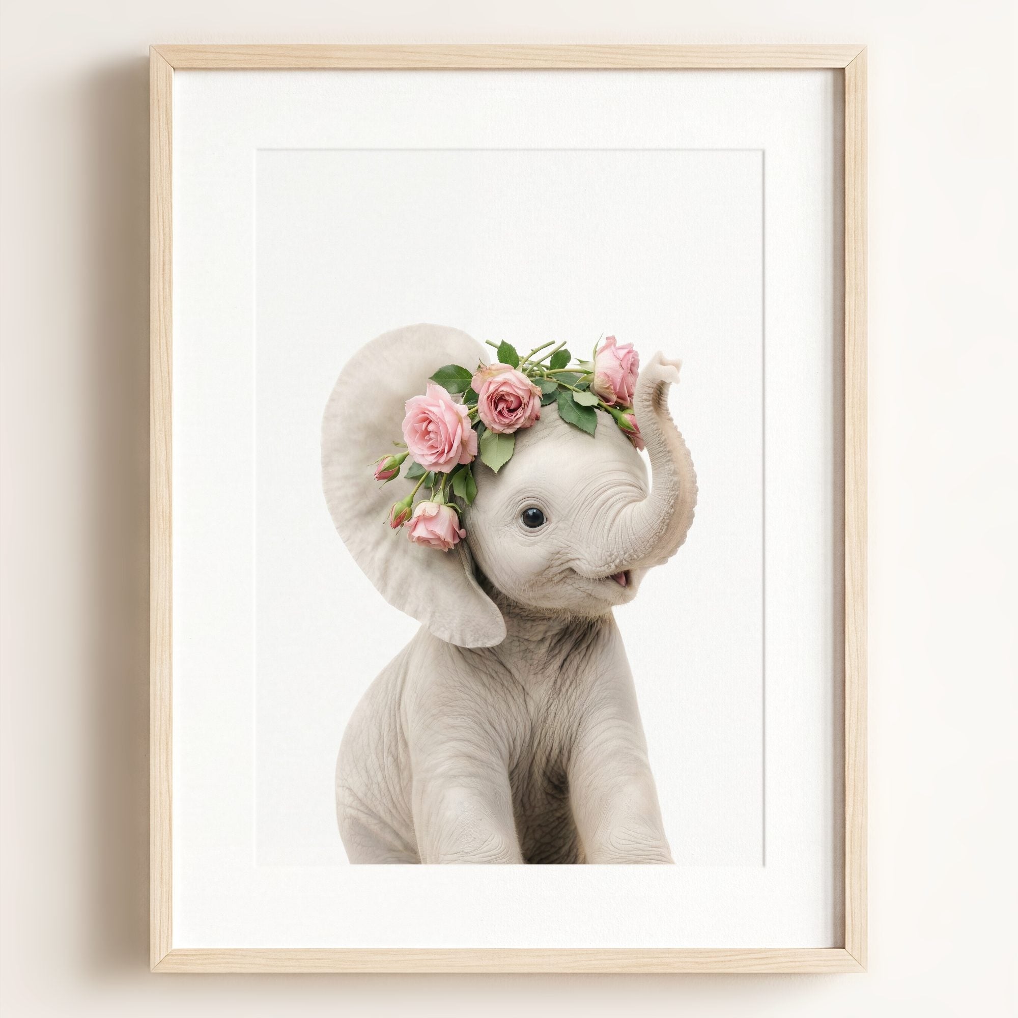 Baby Elephant