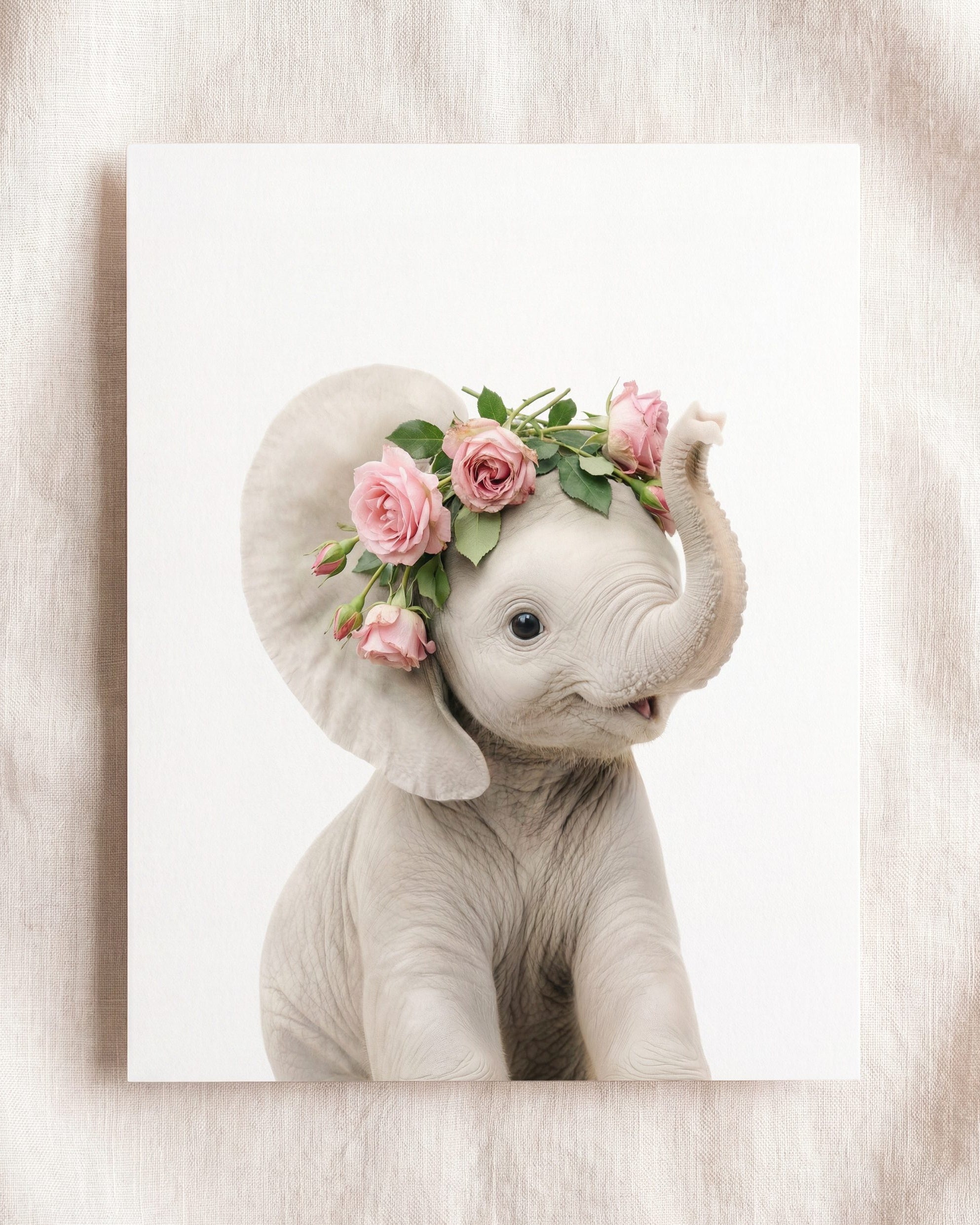 Baby Elephant