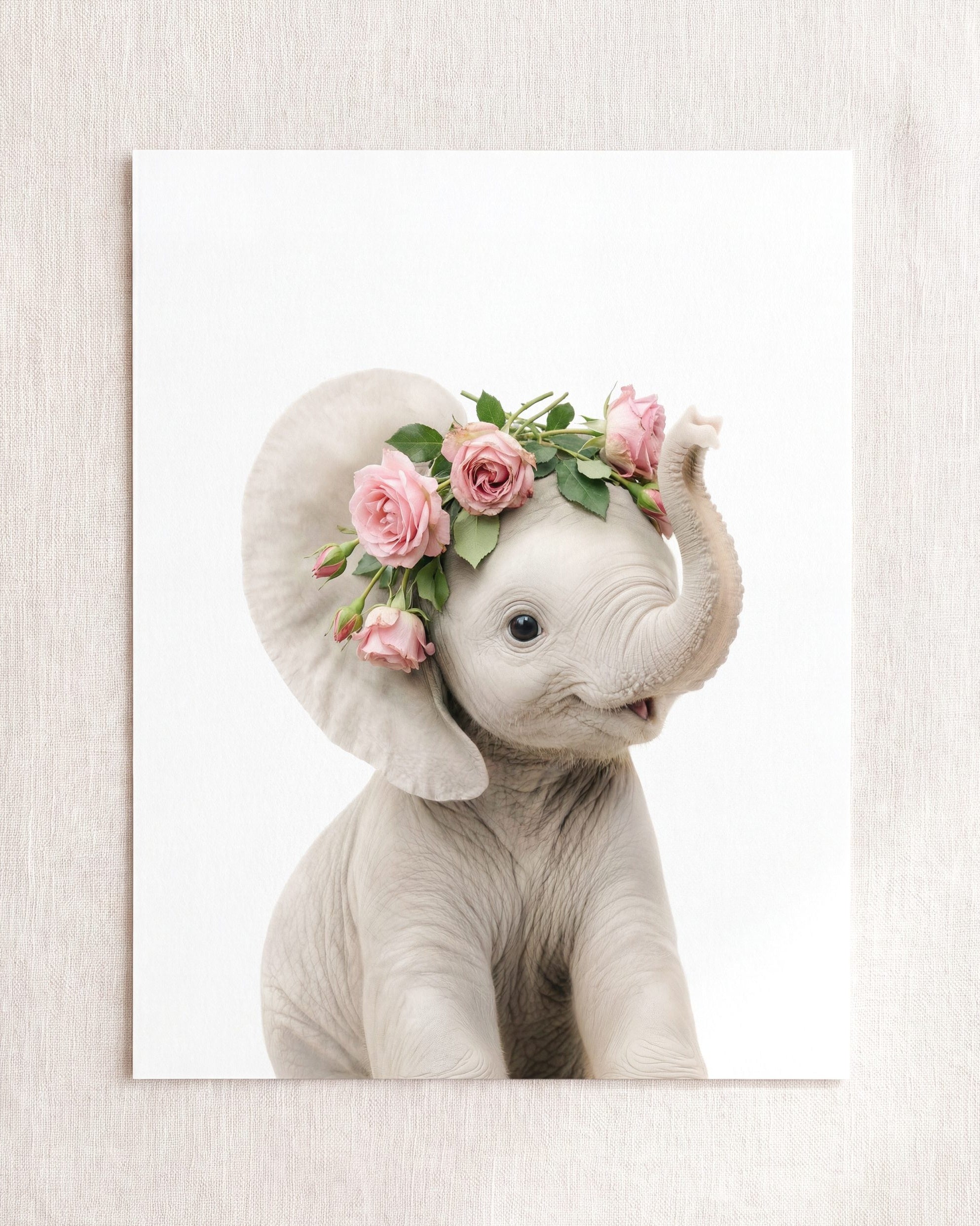 Baby Elephant