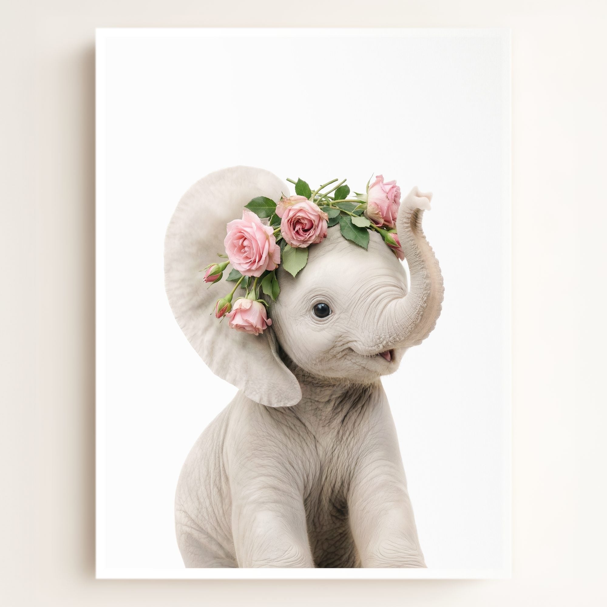 Baby Elephant