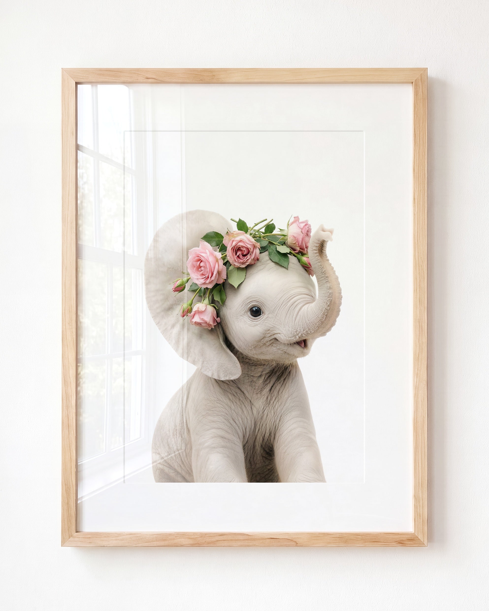 Baby Elephant
