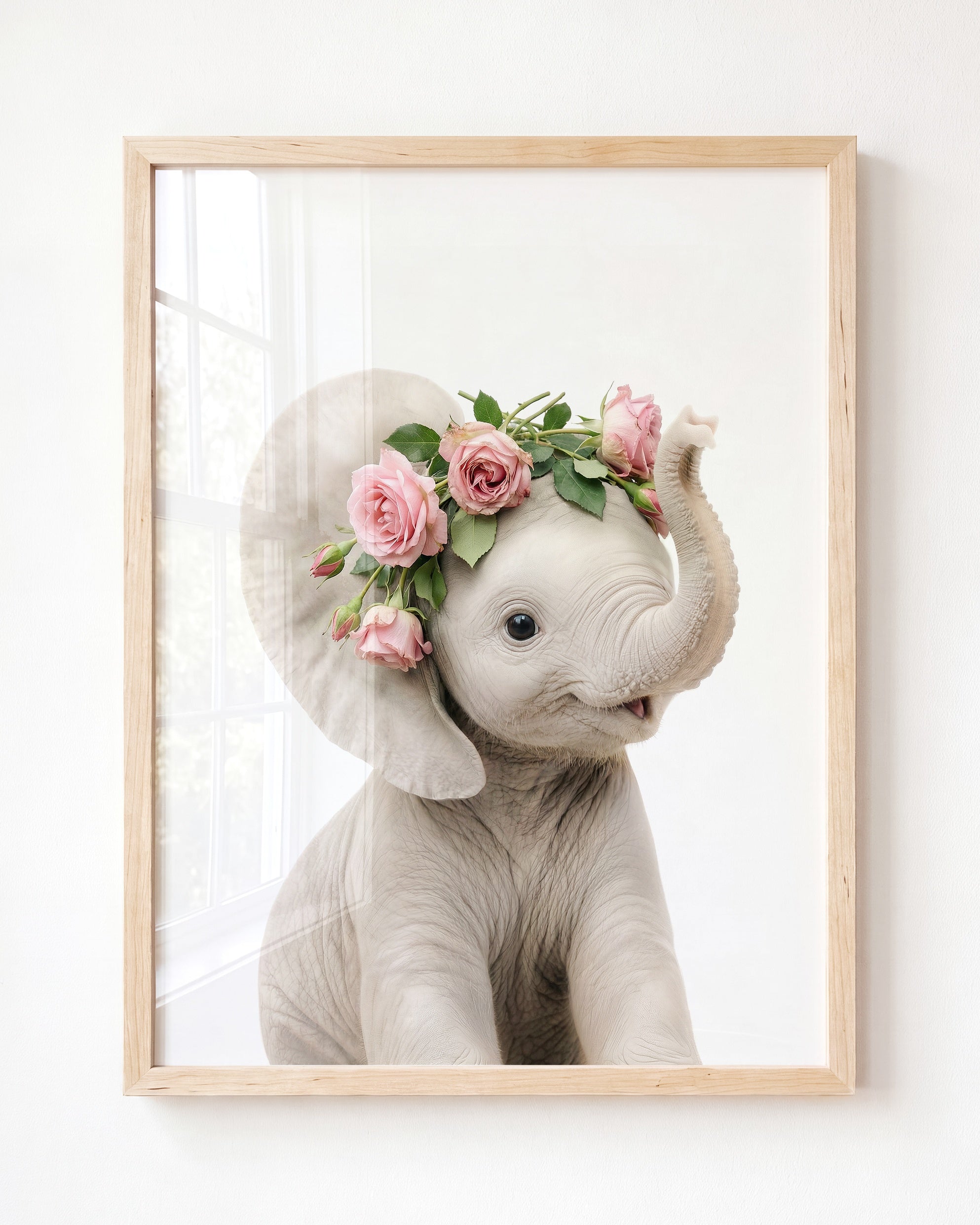 Baby Elephant