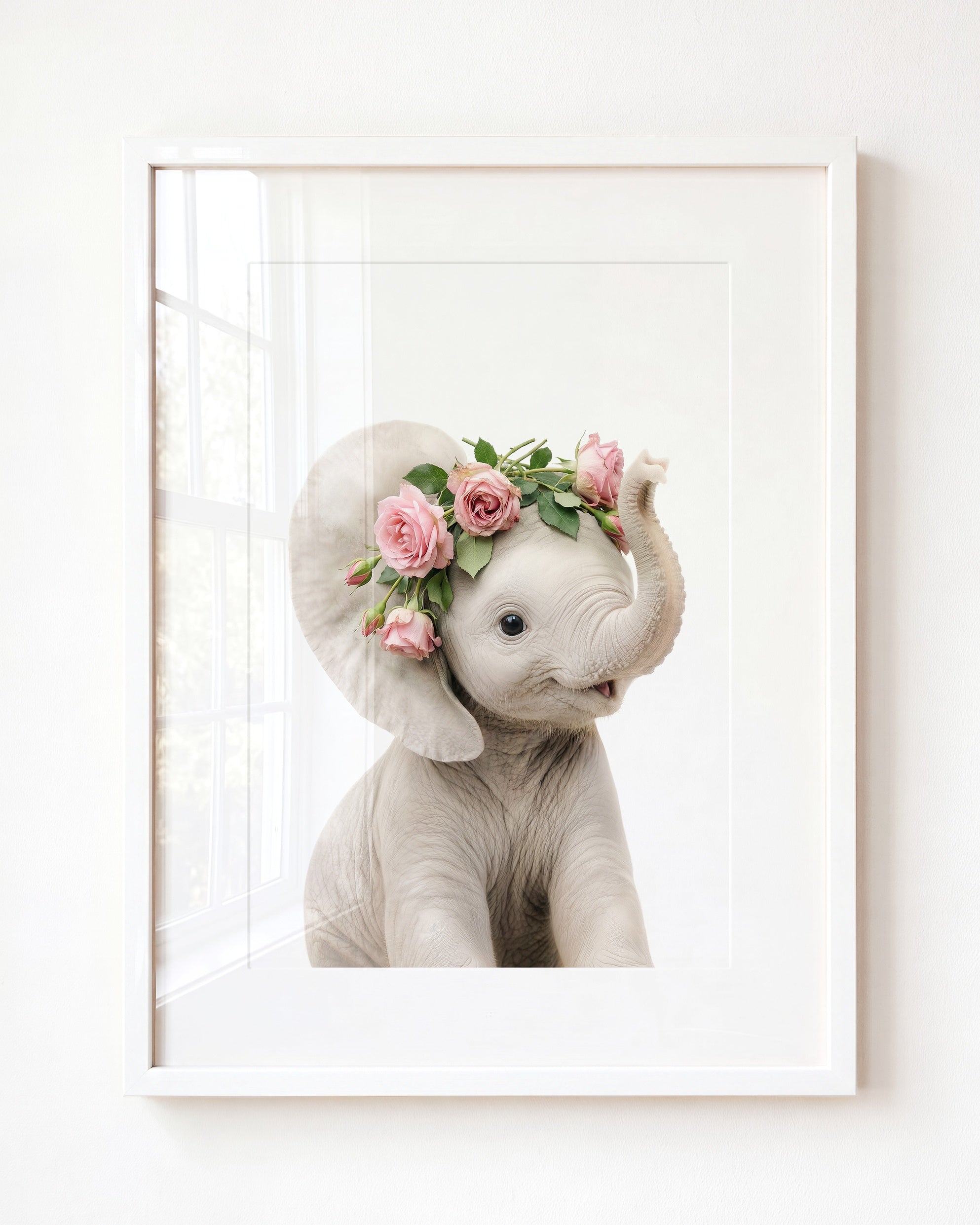 Baby Elephant