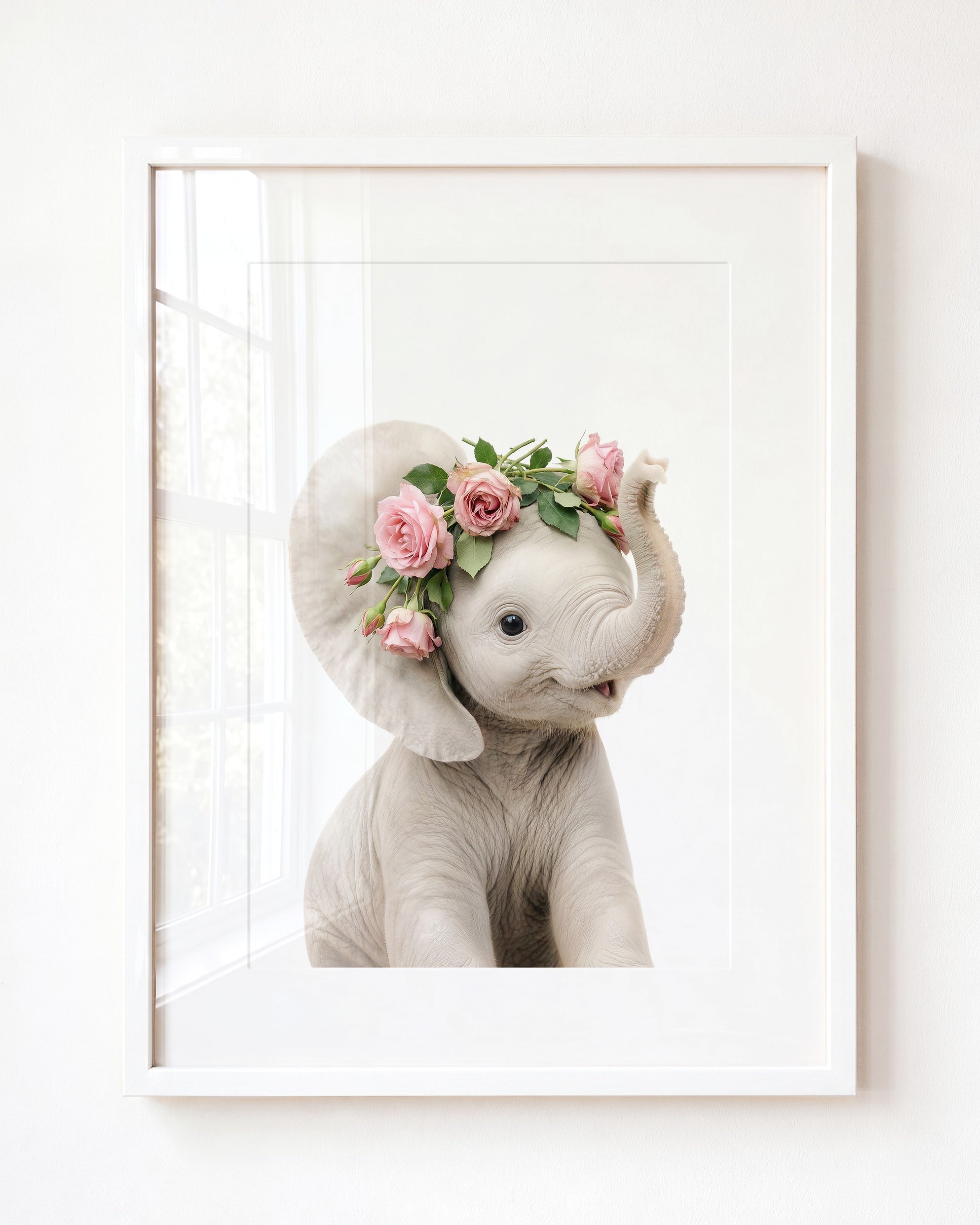 Baby Elephant
