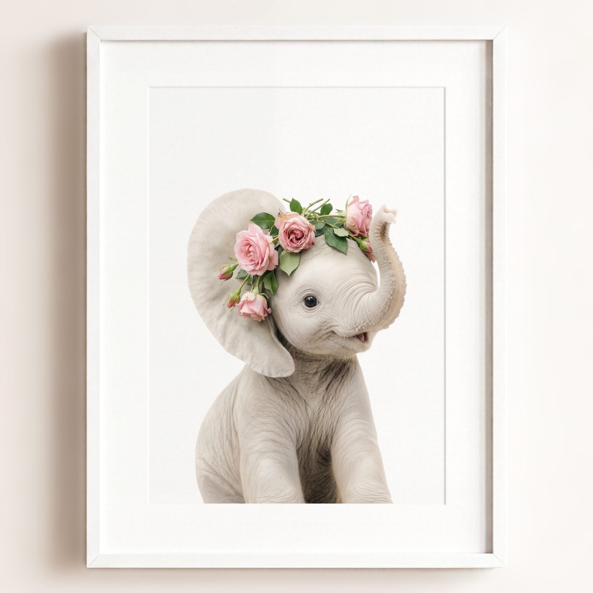 Baby Elephant