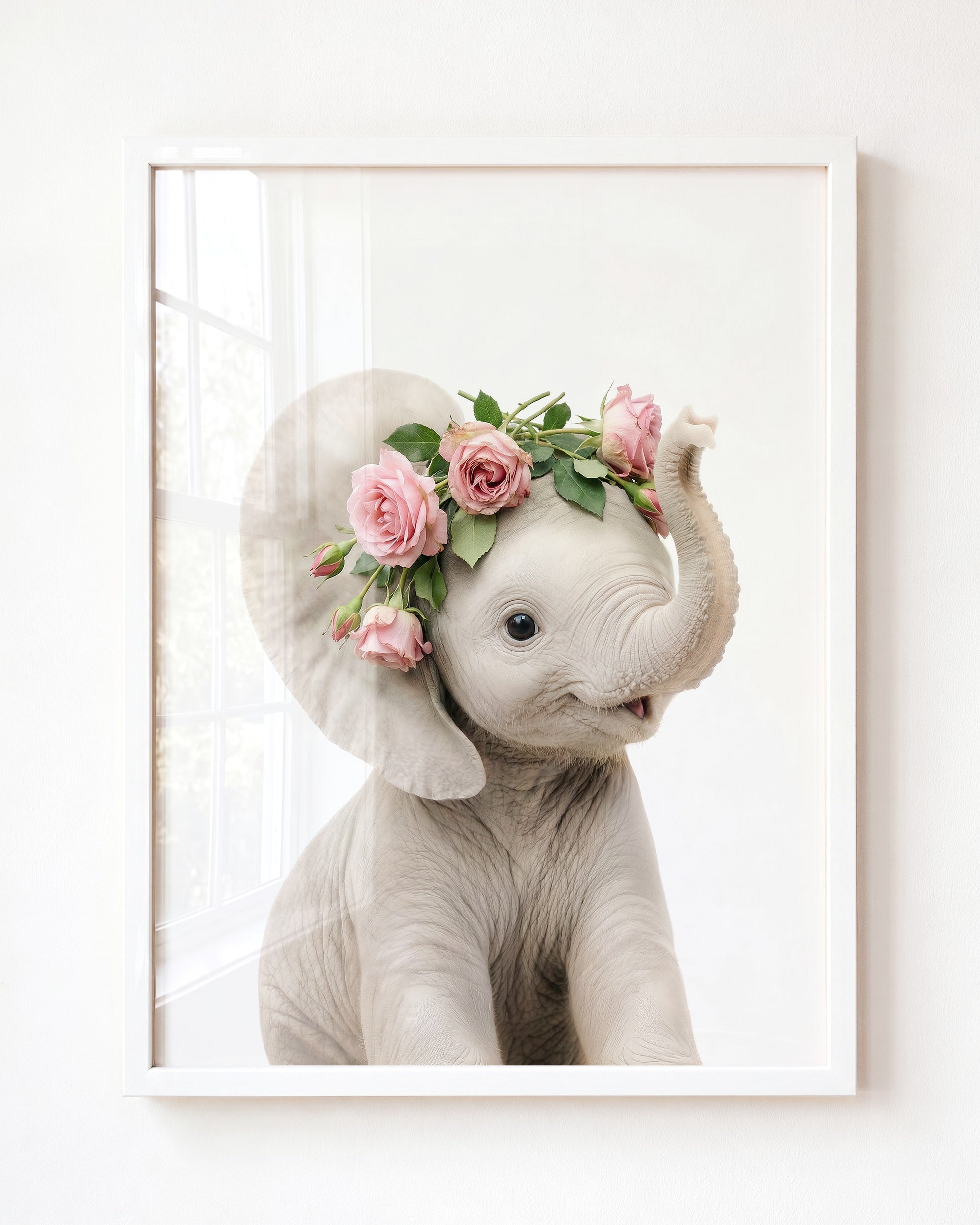 Baby Elephant