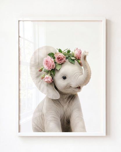 Baby Elephant