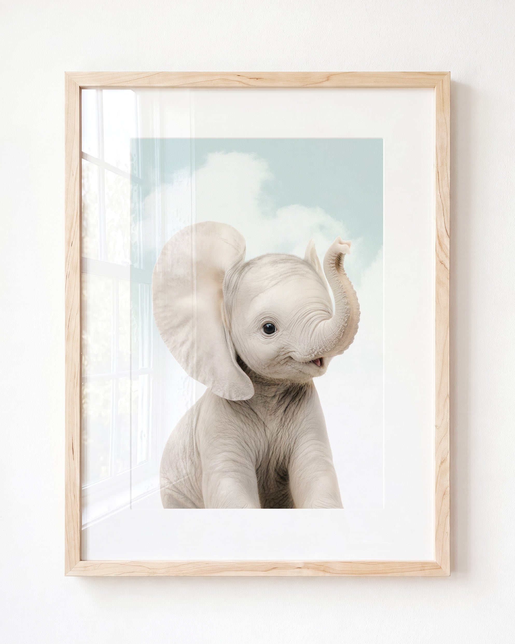 Baby Elephant