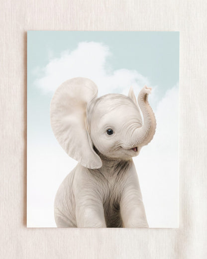 Baby Elephant