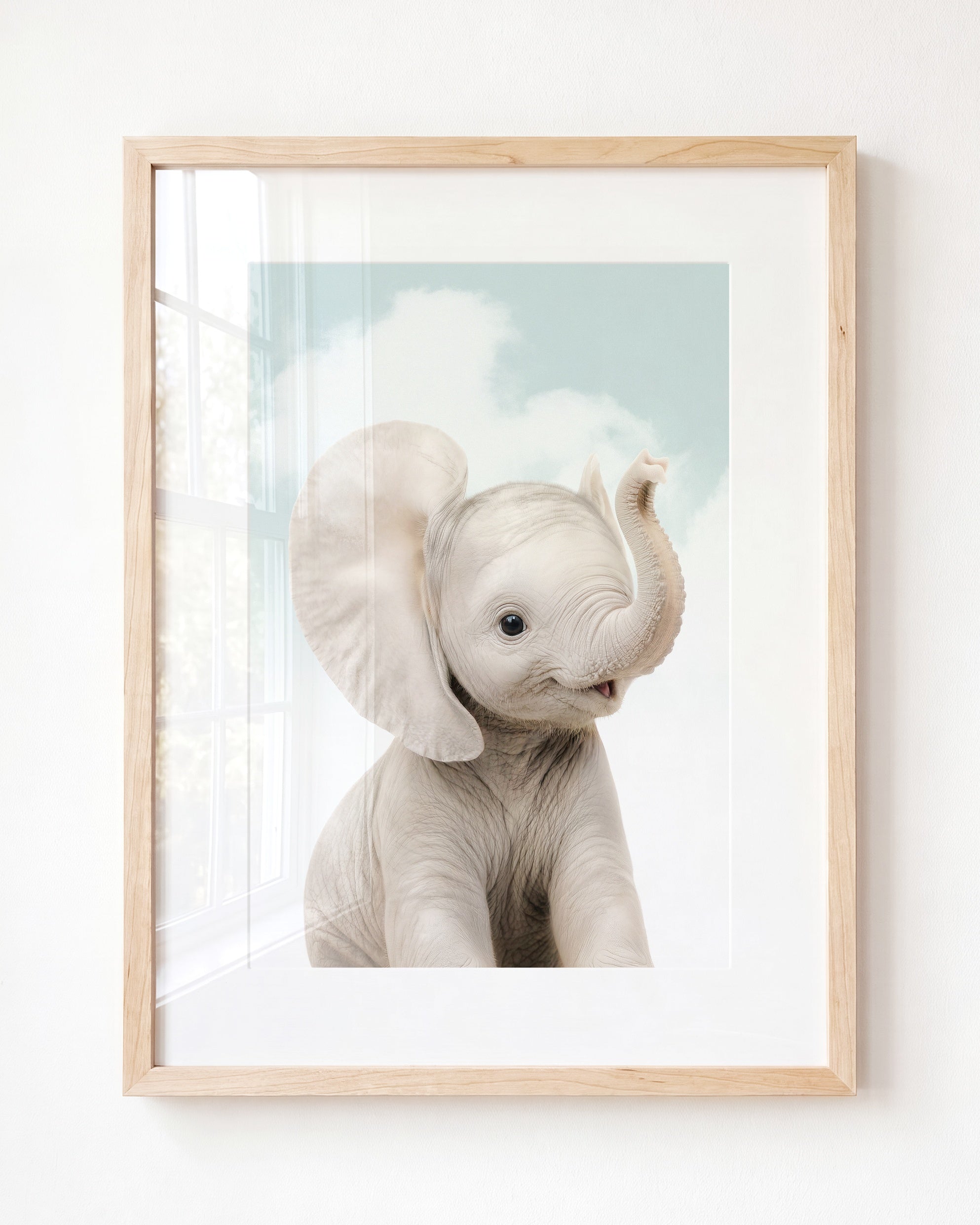 Baby Elephant
