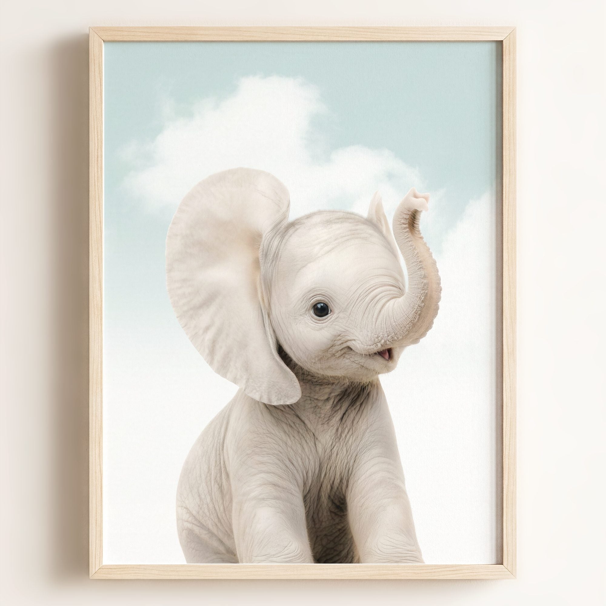 Baby Elephant