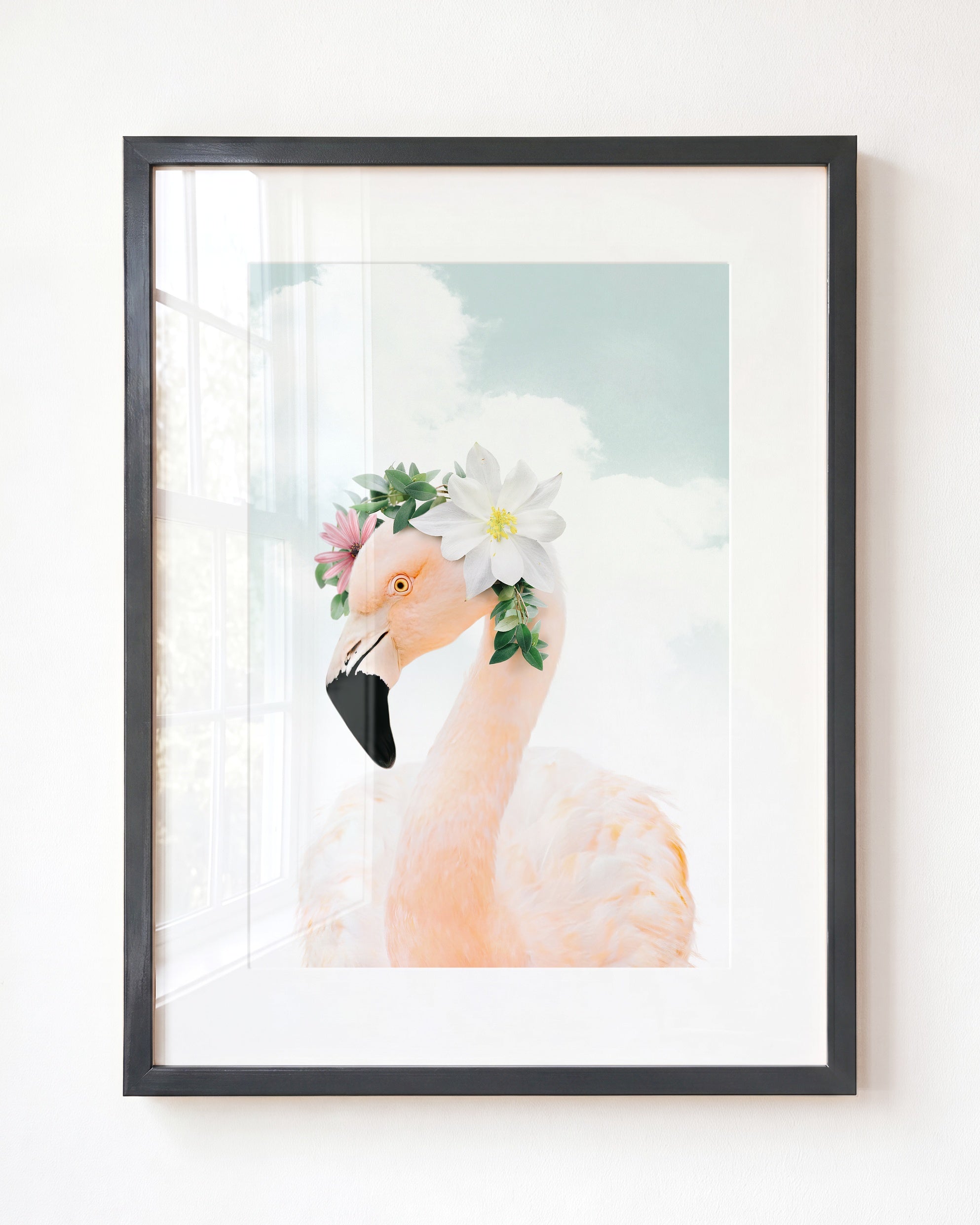 Baby Flamingo