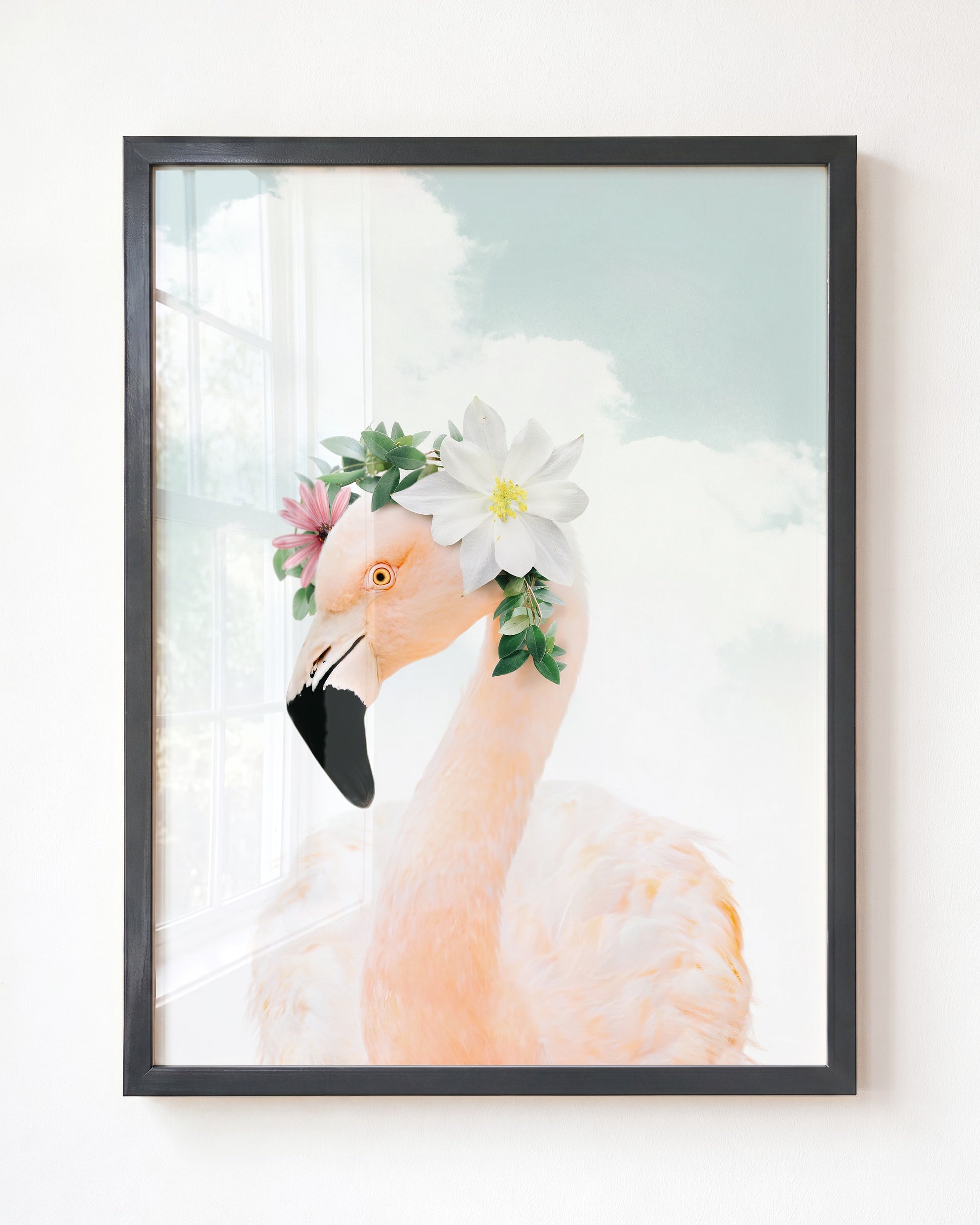 Baby Flamingo