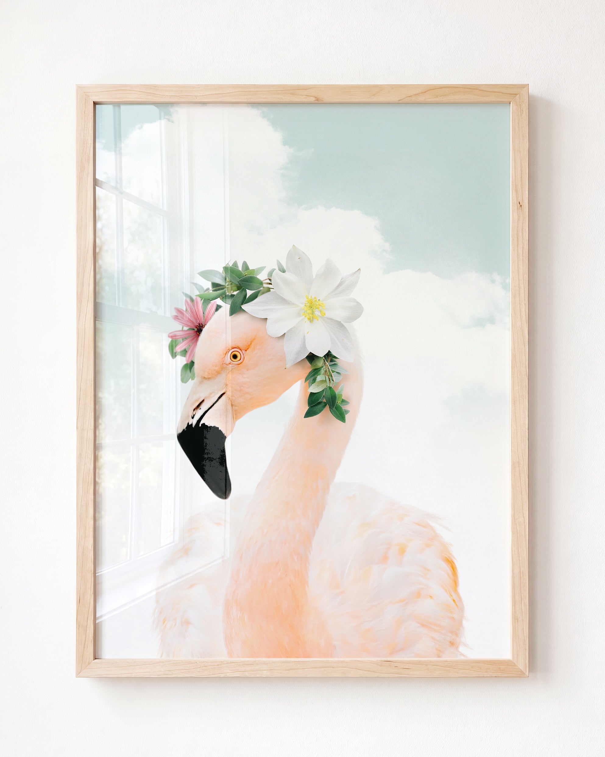 Baby Flamingo