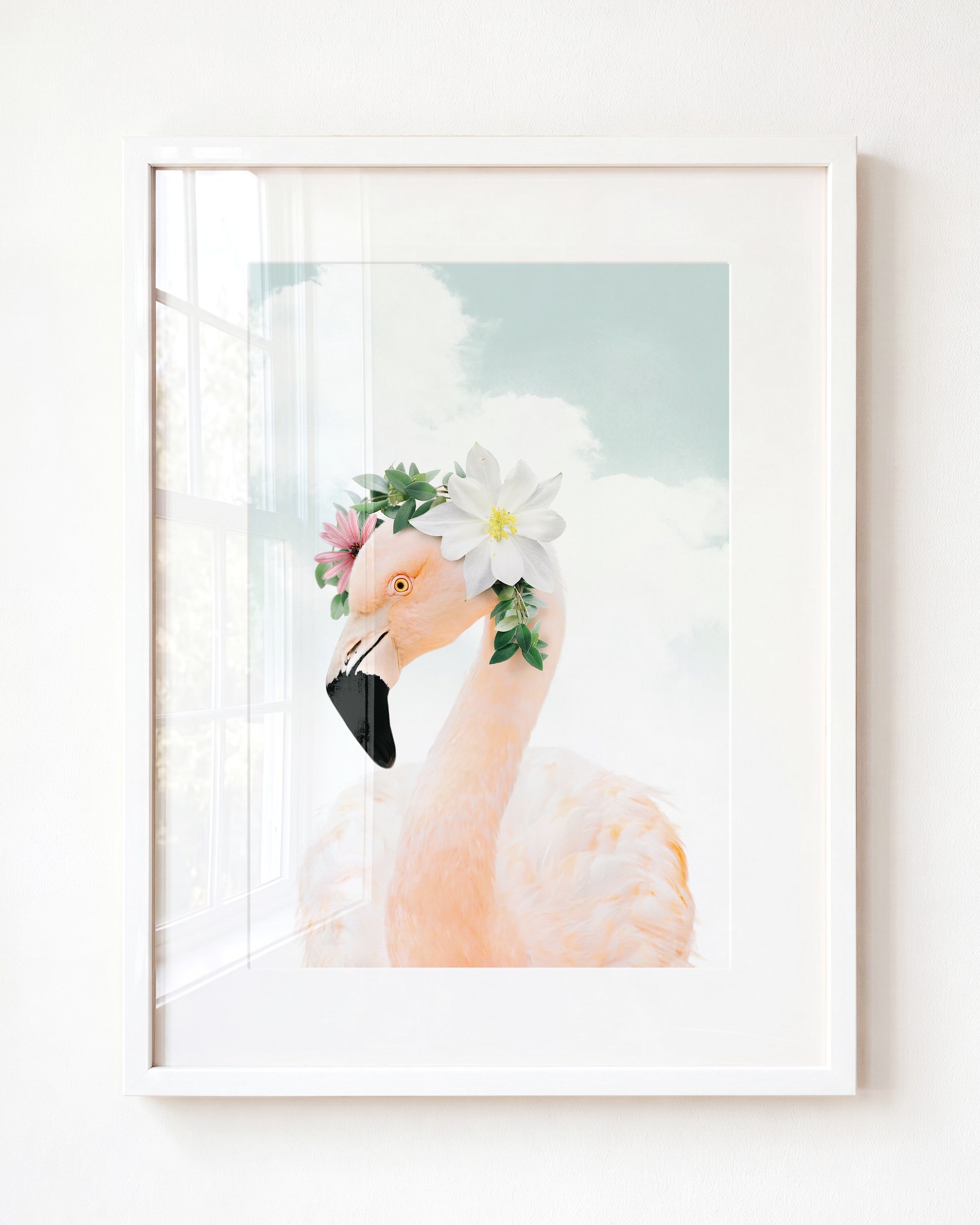 Baby Flamingo