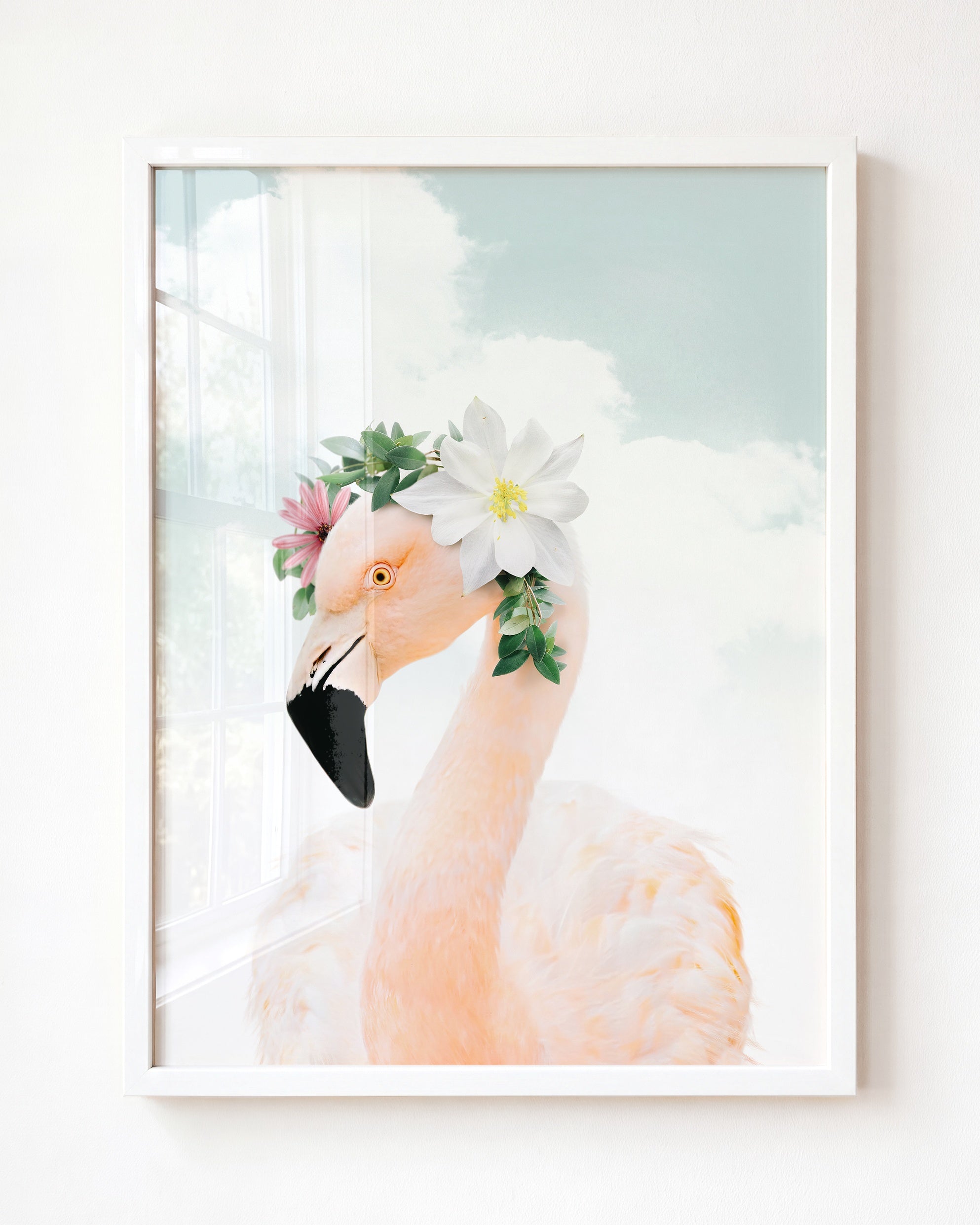 Baby Flamingo