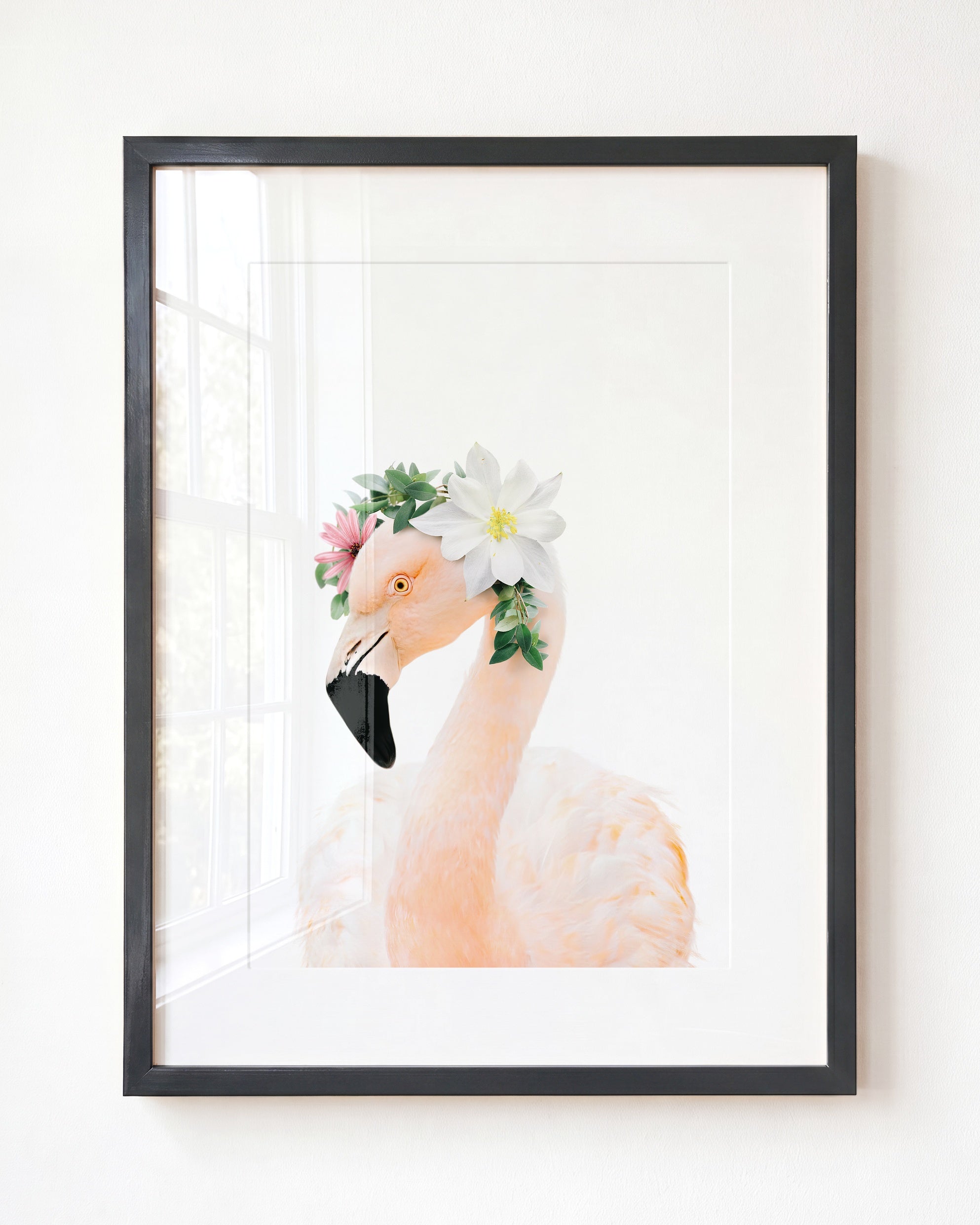 Baby Flamingo