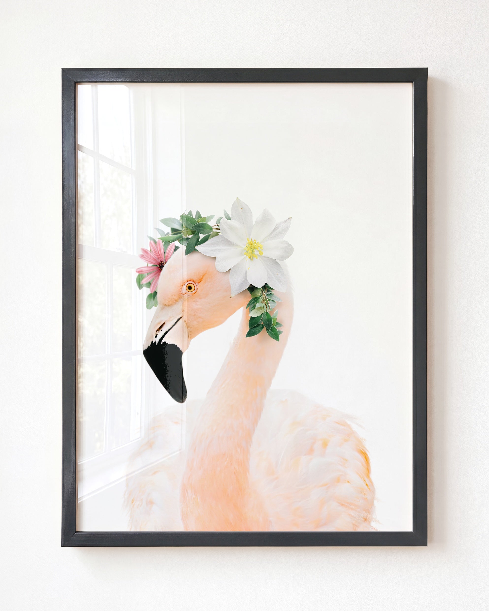 Baby Flamingo