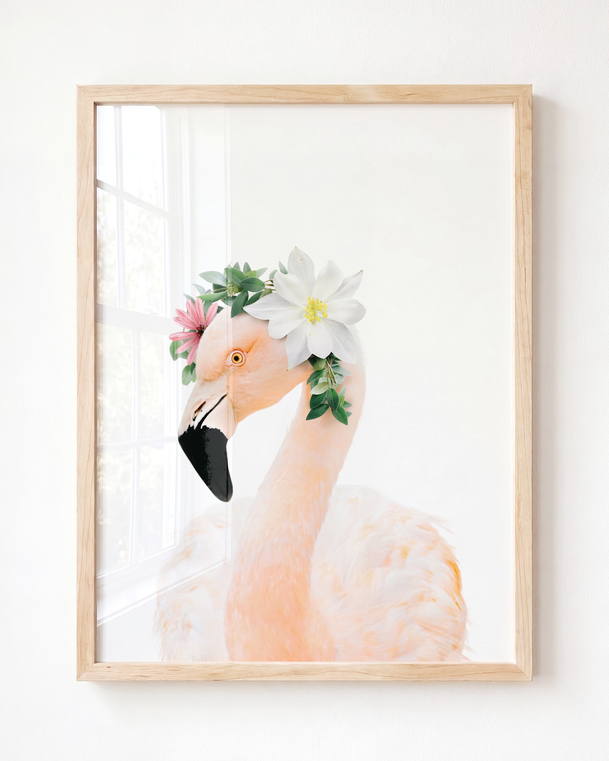 Baby Flamingo