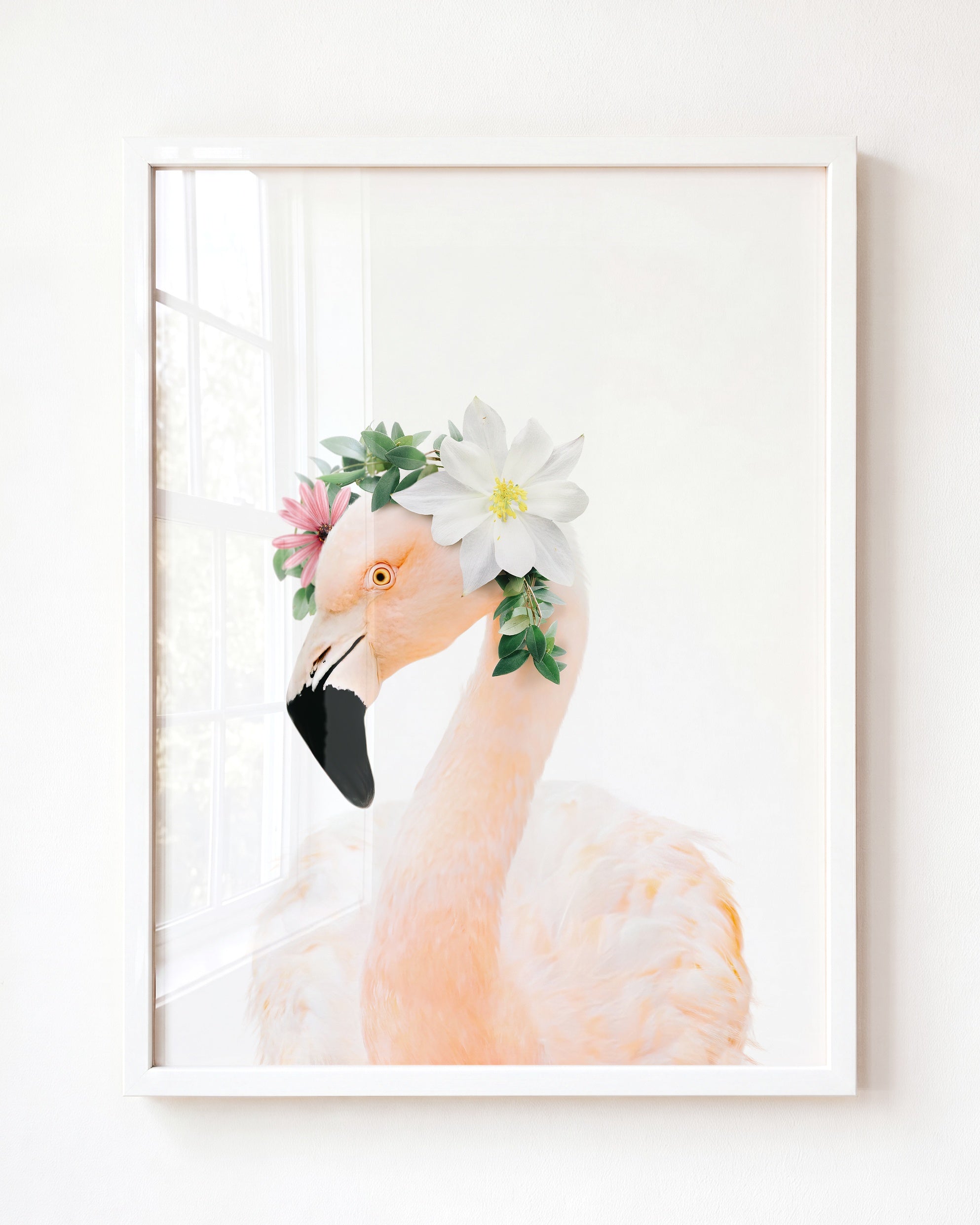 Baby Flamingo