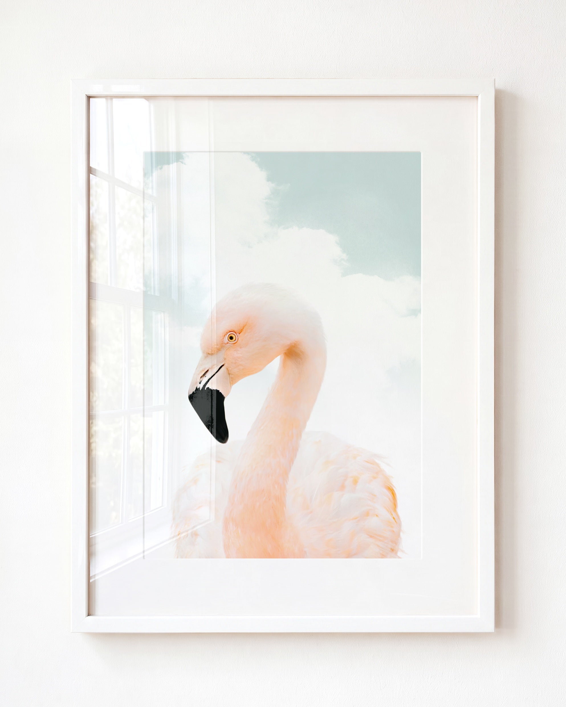 Baby Flamingo