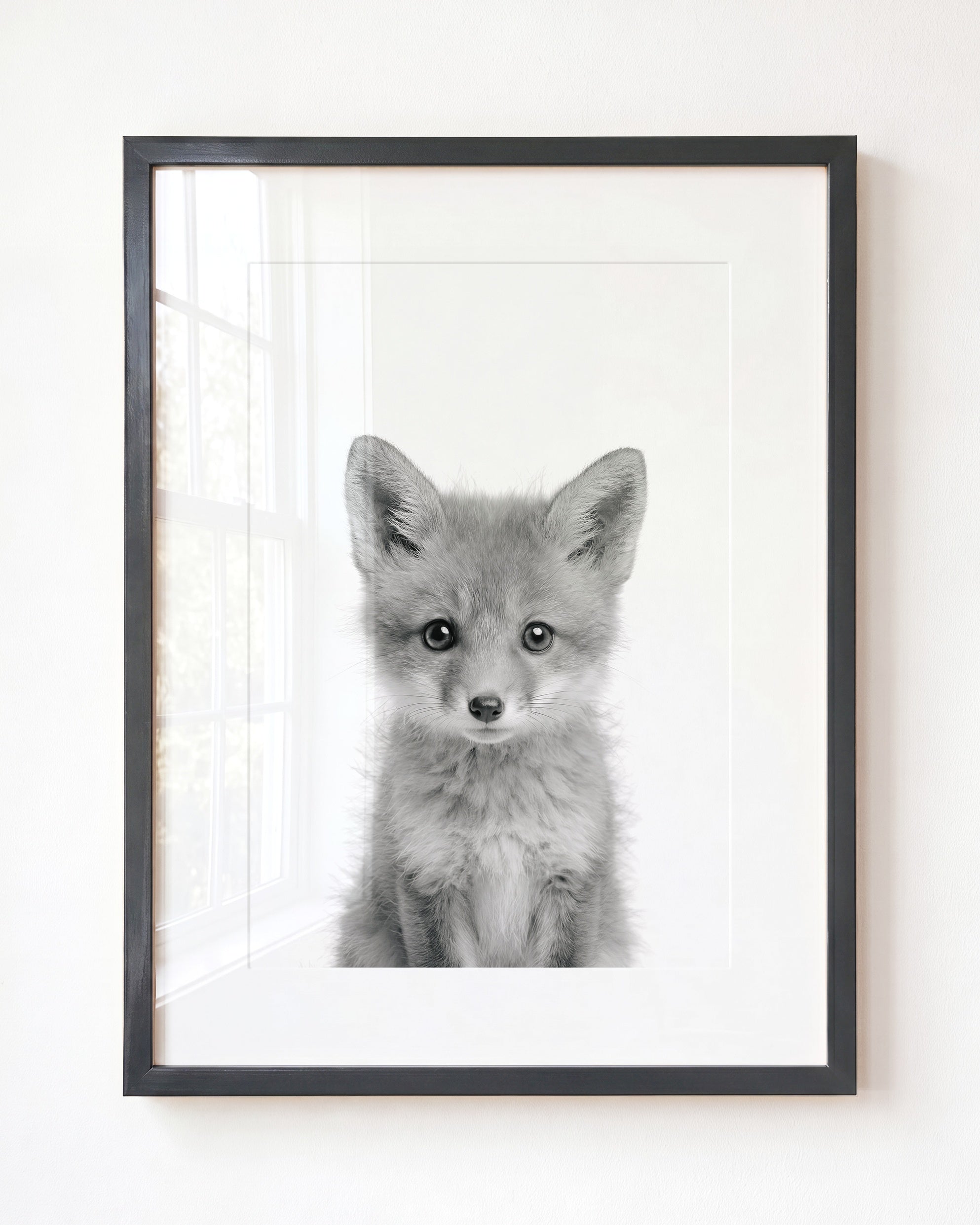 Baby Fox