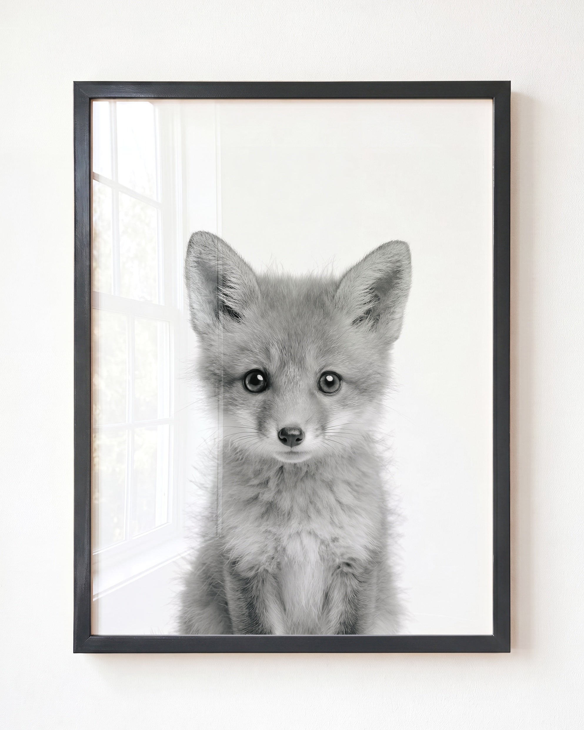 Baby Fox