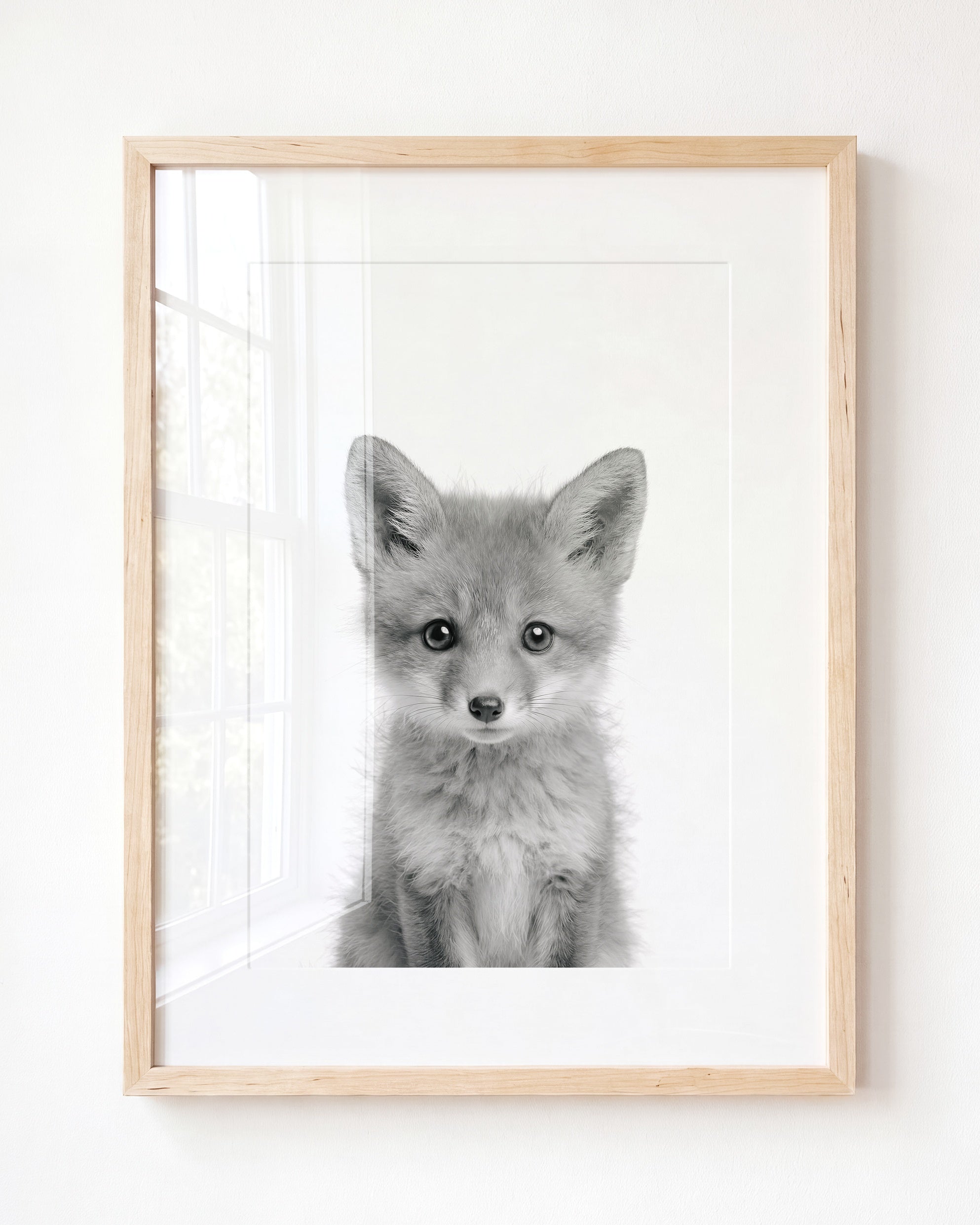 Baby Fox