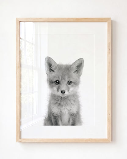 Baby Fox