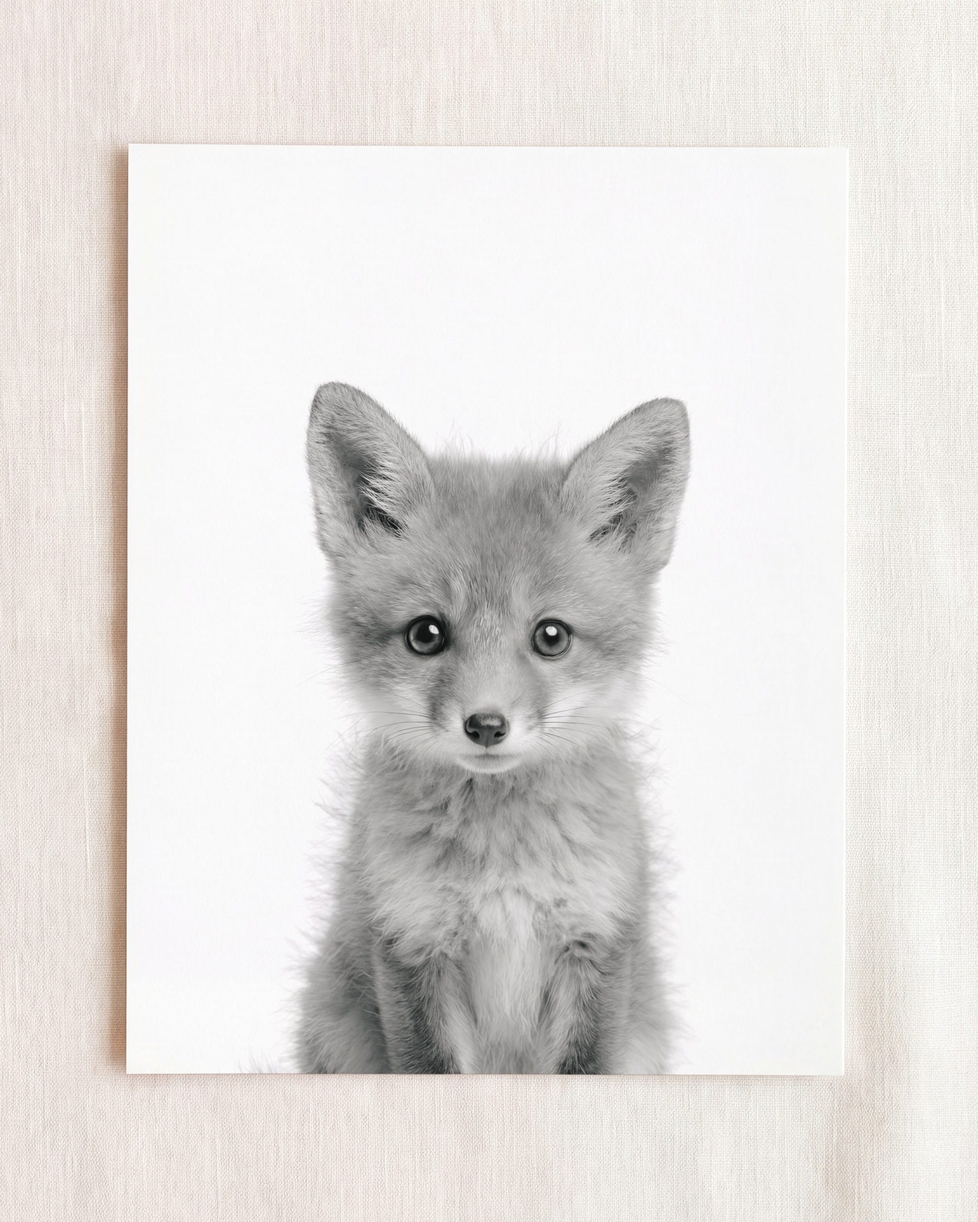 Baby Fox