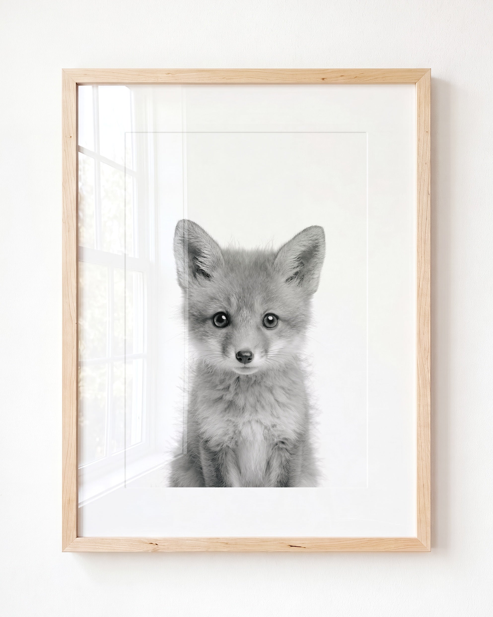 Baby Fox