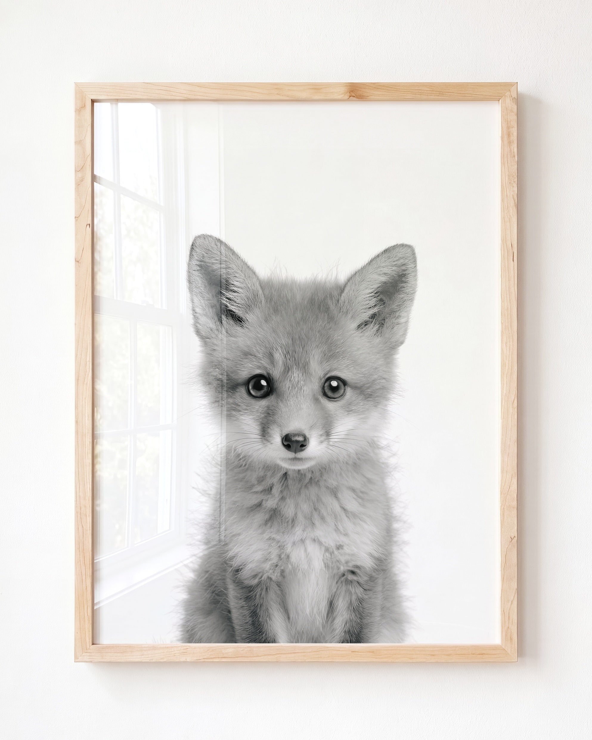 Baby Fox