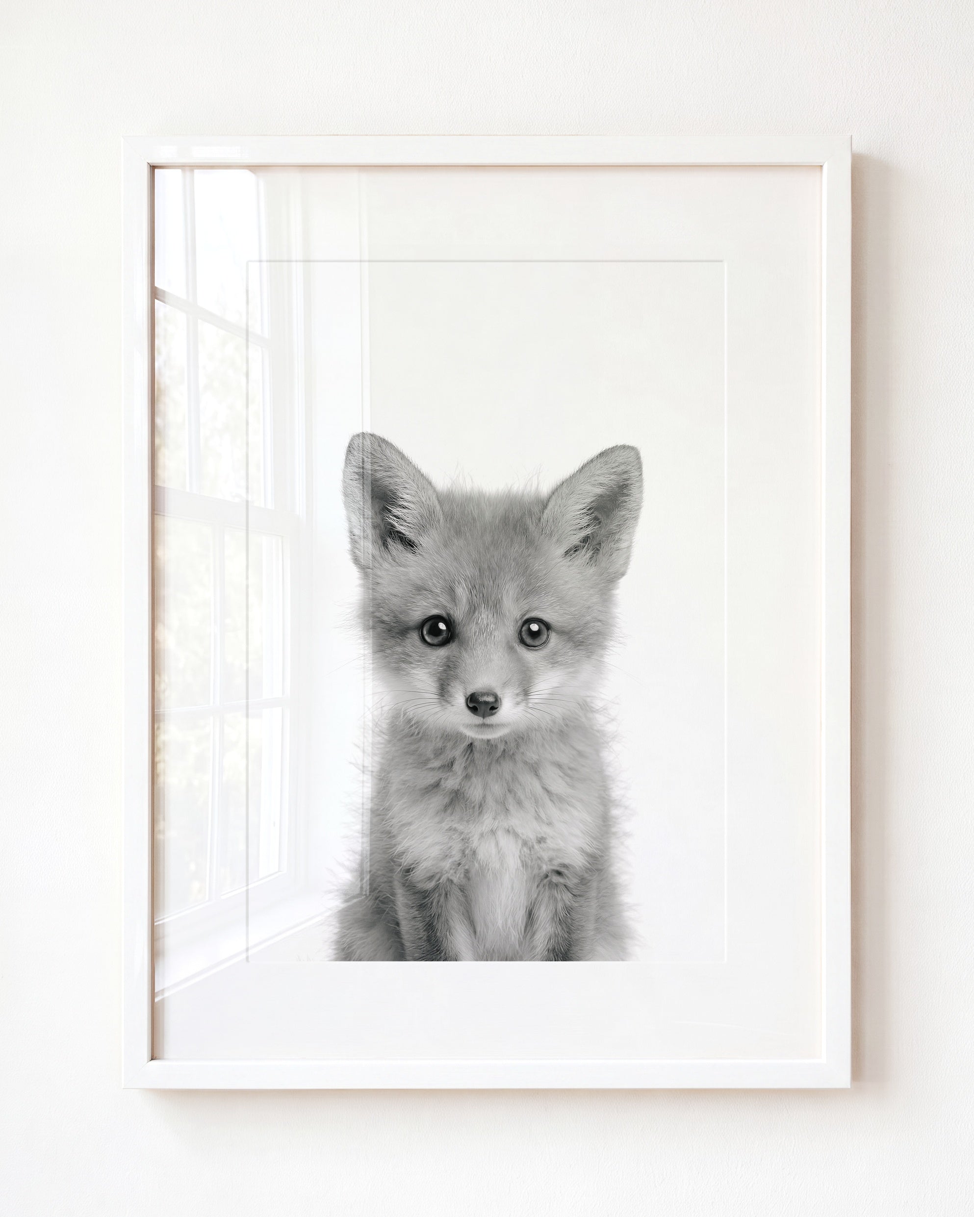 Baby Fox