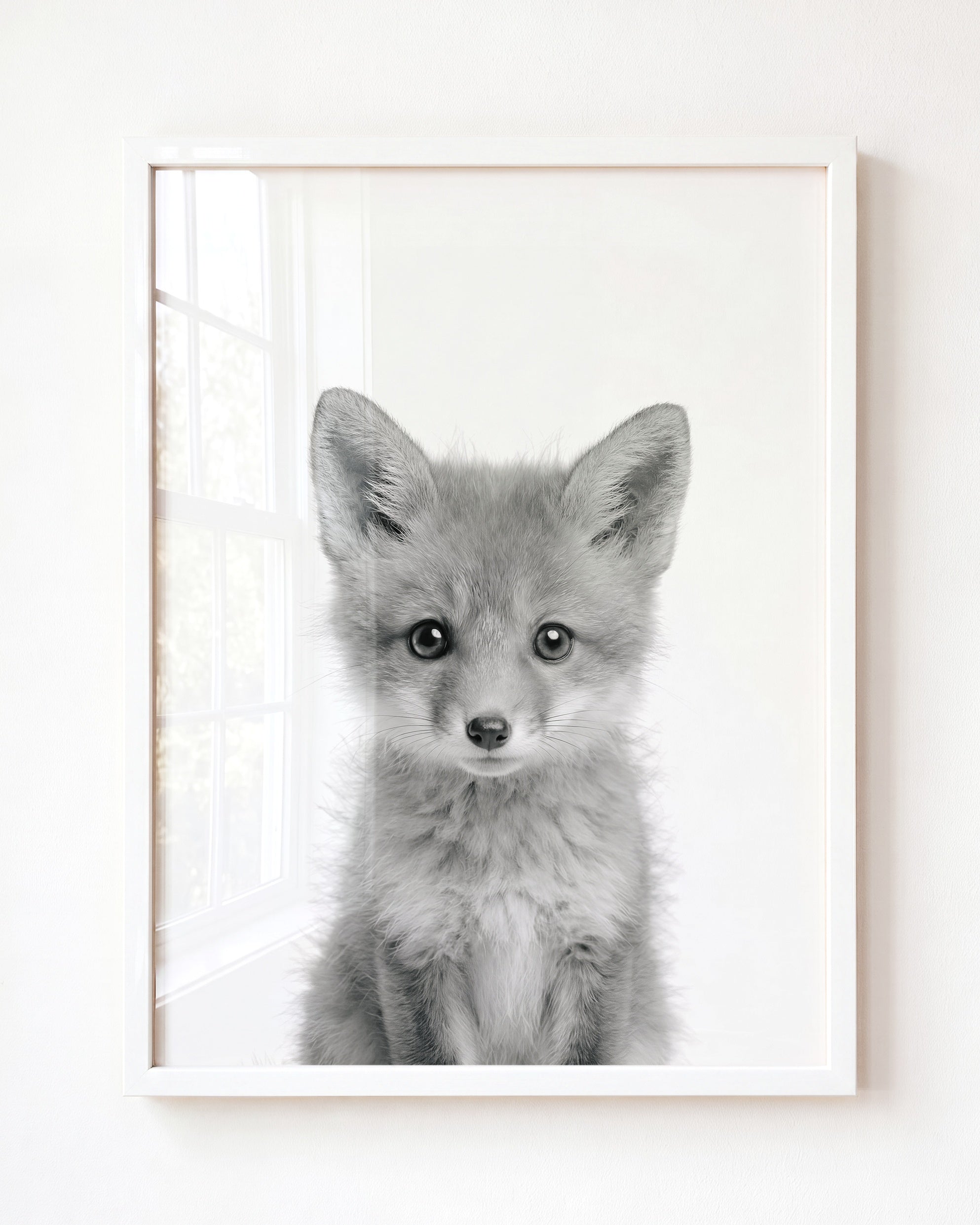 Baby Fox
