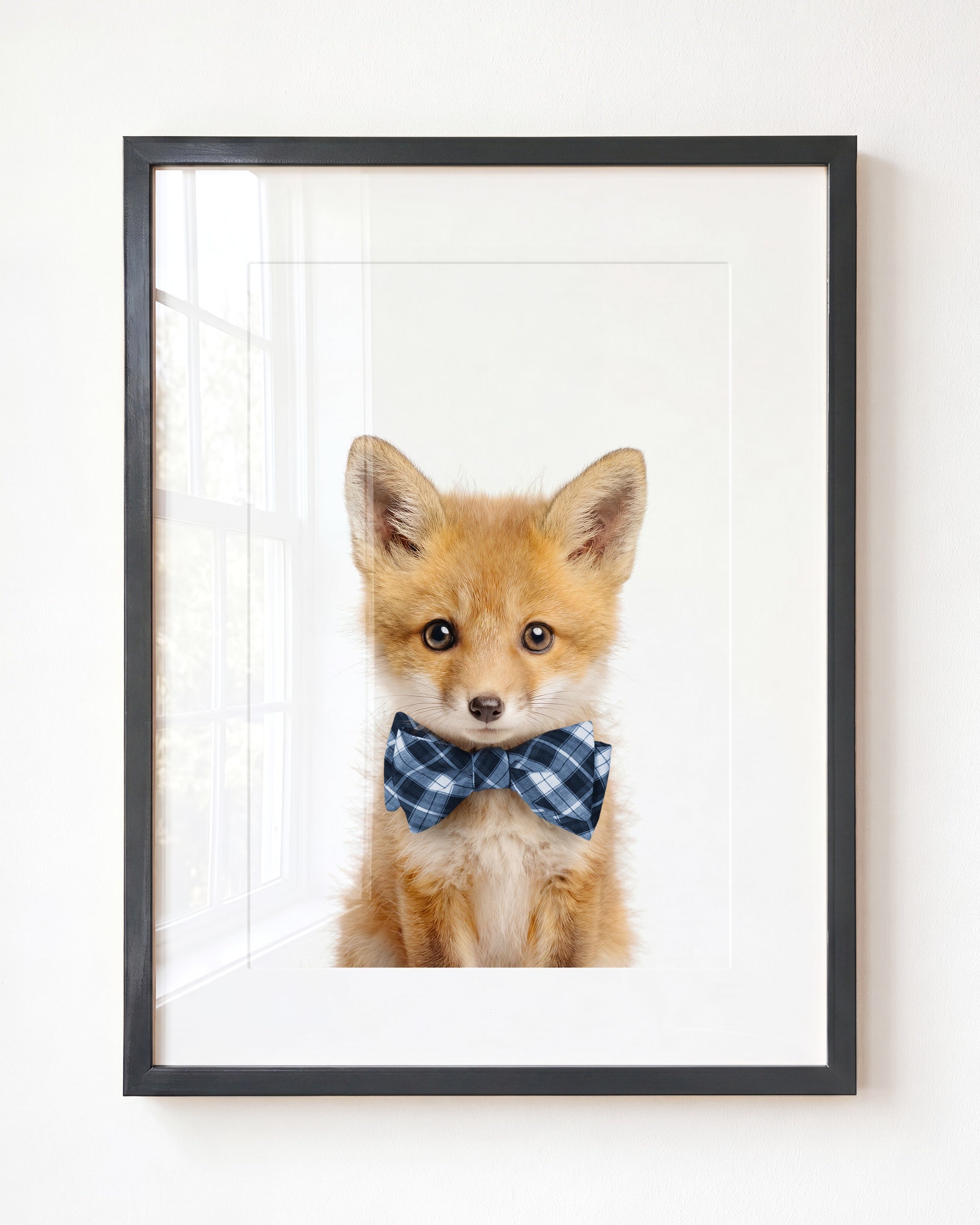 Baby Fox